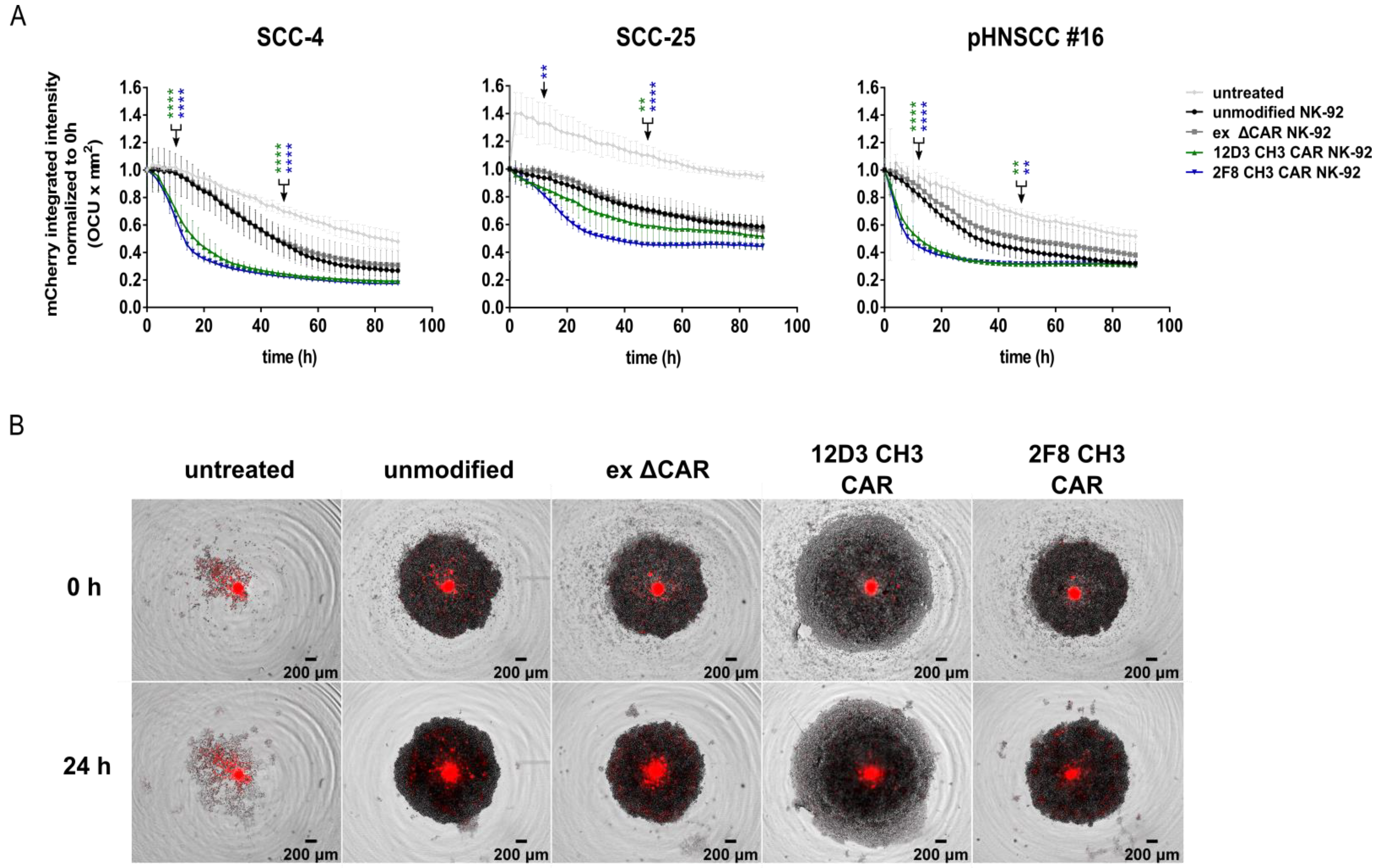 Cancers 15 03169 g006 Cancers 15 03169 g006