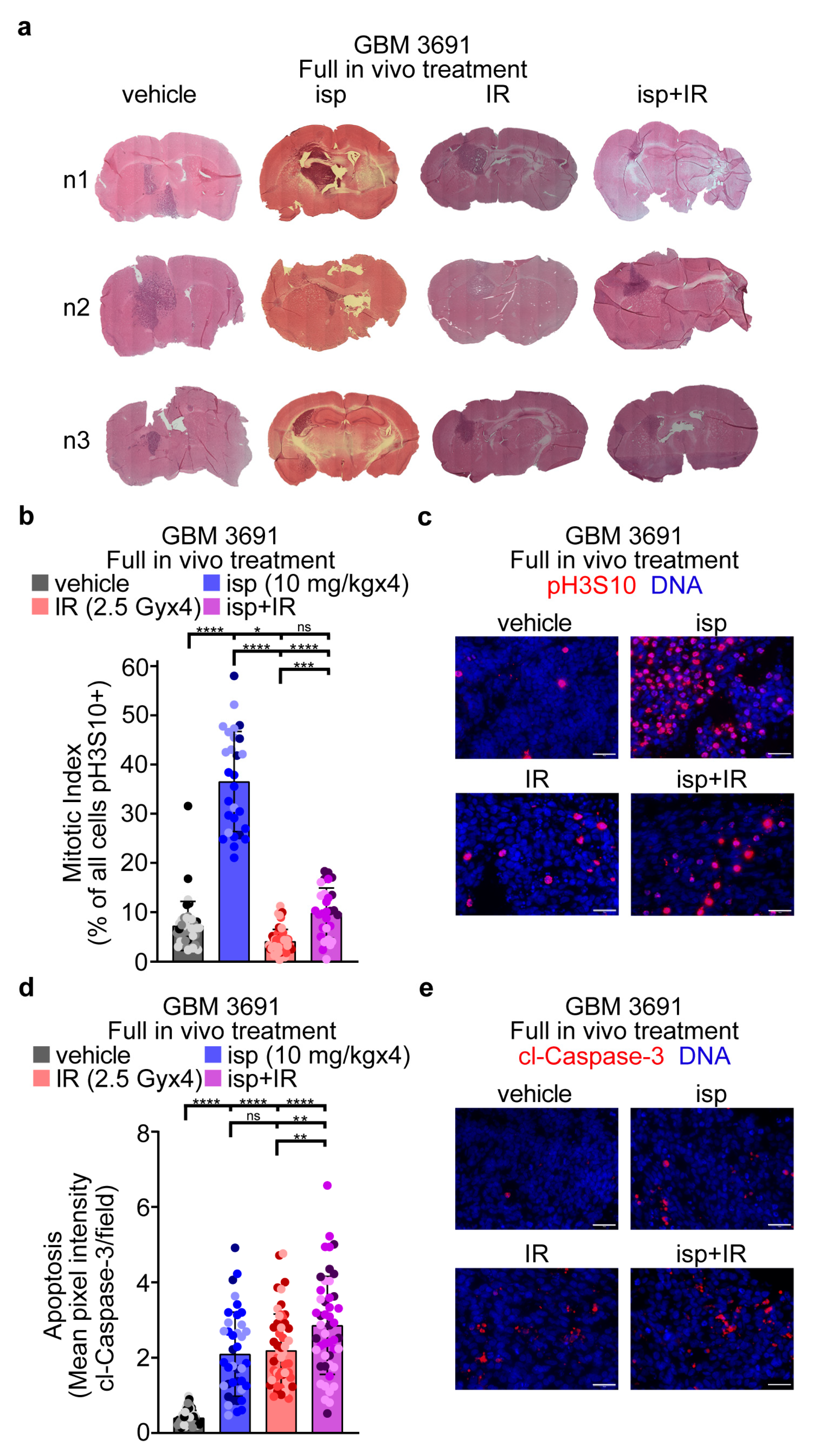 Cancers 15 03173 g003 Cancers 15 03173 g003