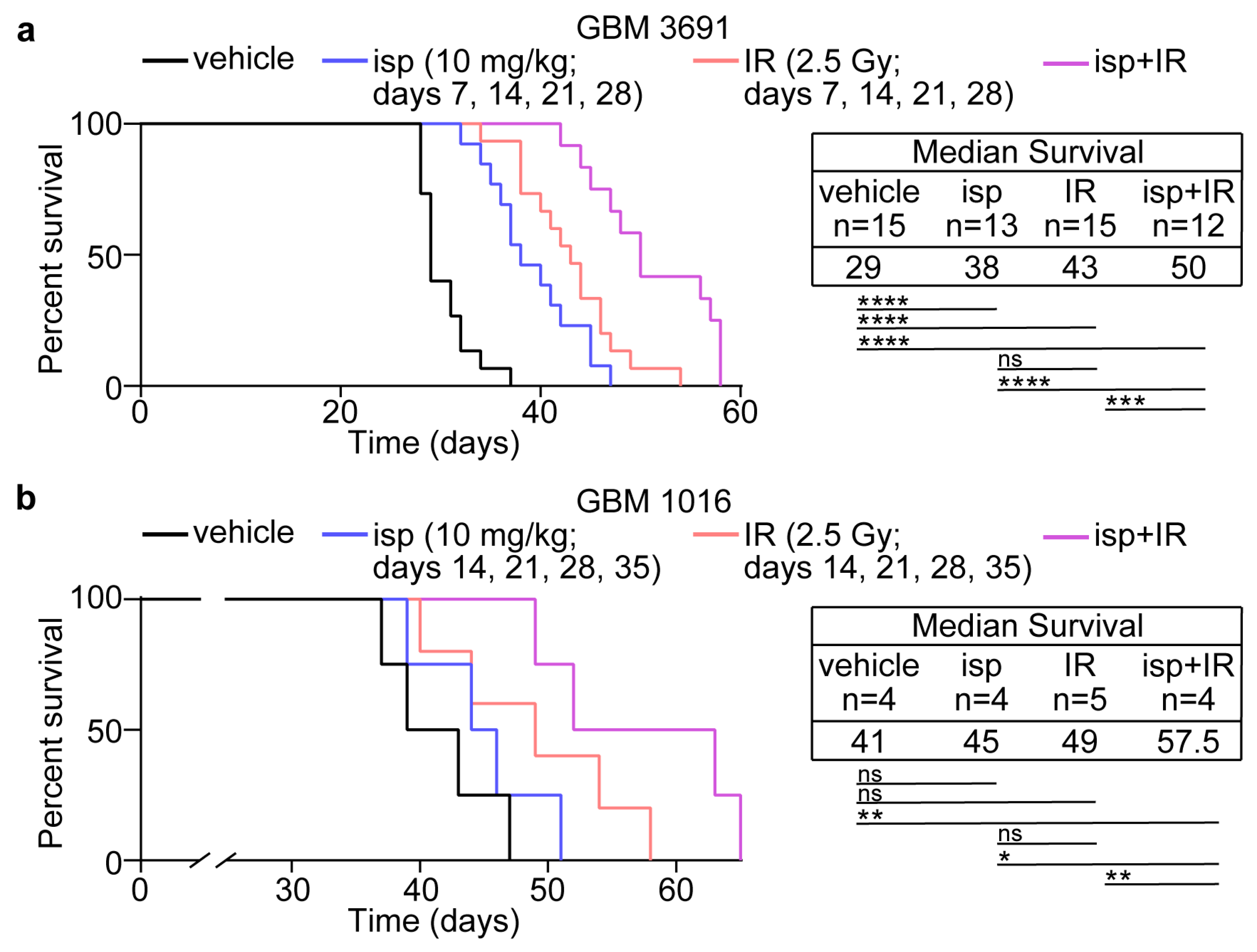 Cancers 15 03173 g004 Cancers 15 03173 g004