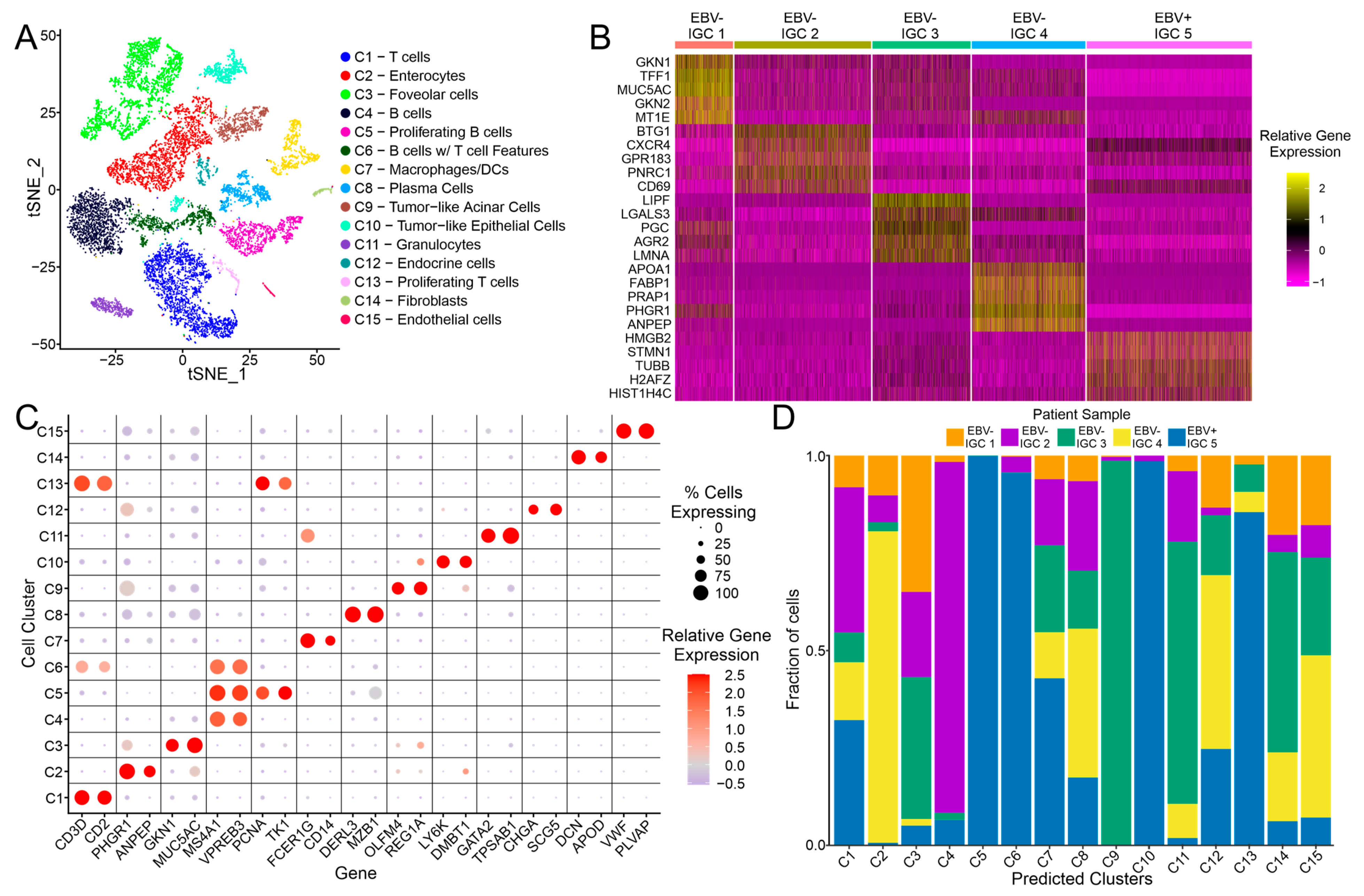 Cancers 15 03178 g001 Cancers 15 03178 g001
