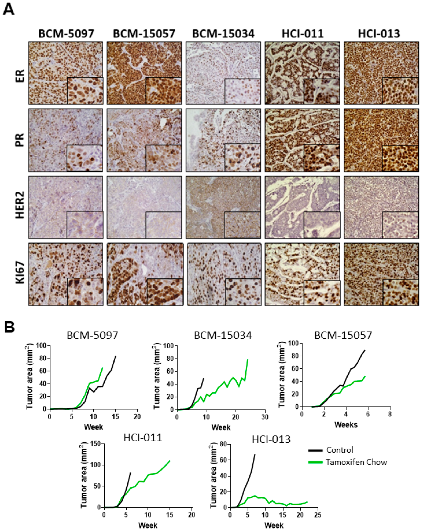 Cancers 15 03179 g001 Cancers 15 03179 g001