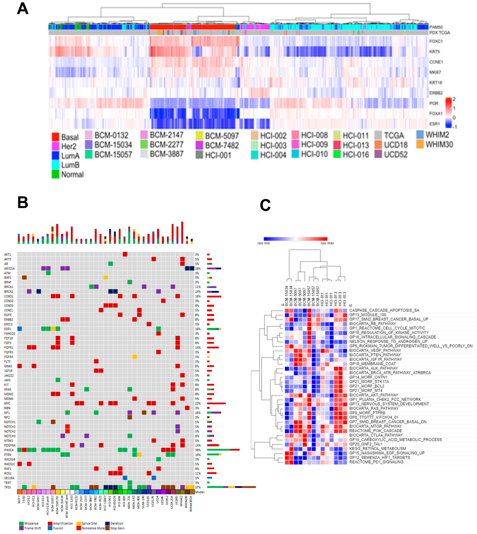 Cancers 15 03179 g002 Cancers 15 03179 g002