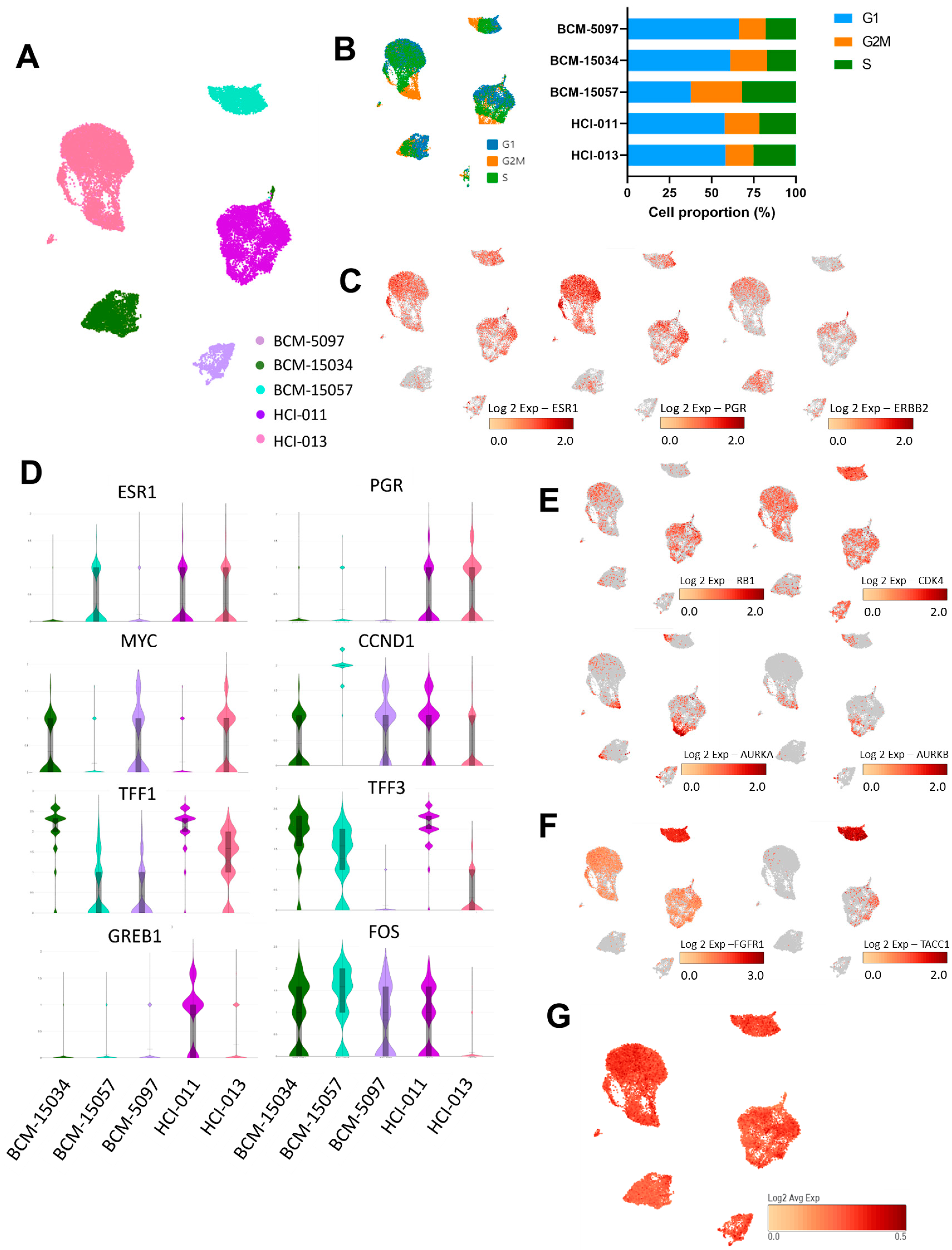 Cancers 15 03179 g003 Cancers 15 03179 g003