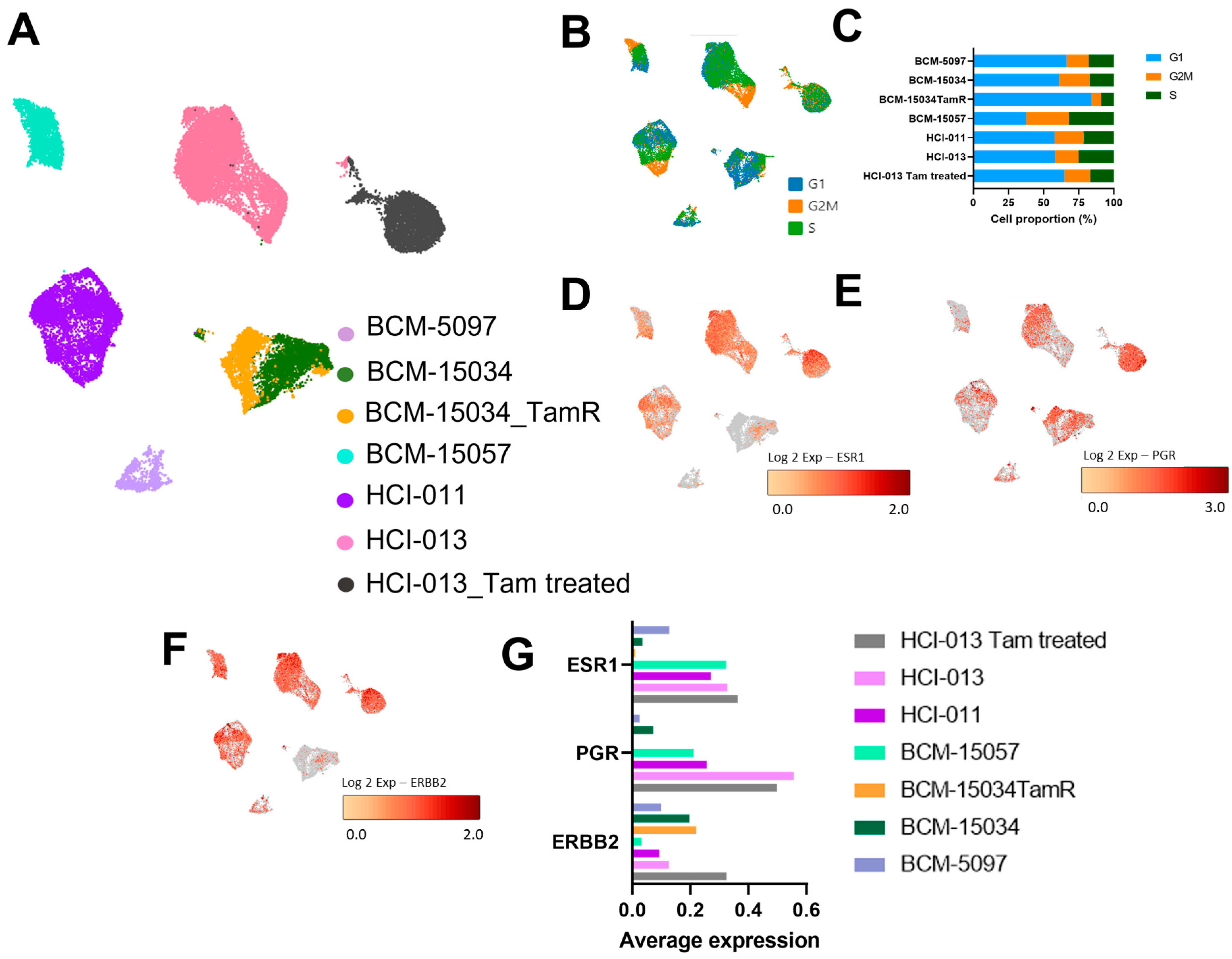 Cancers 15 03179 g004 Cancers 15 03179 g004