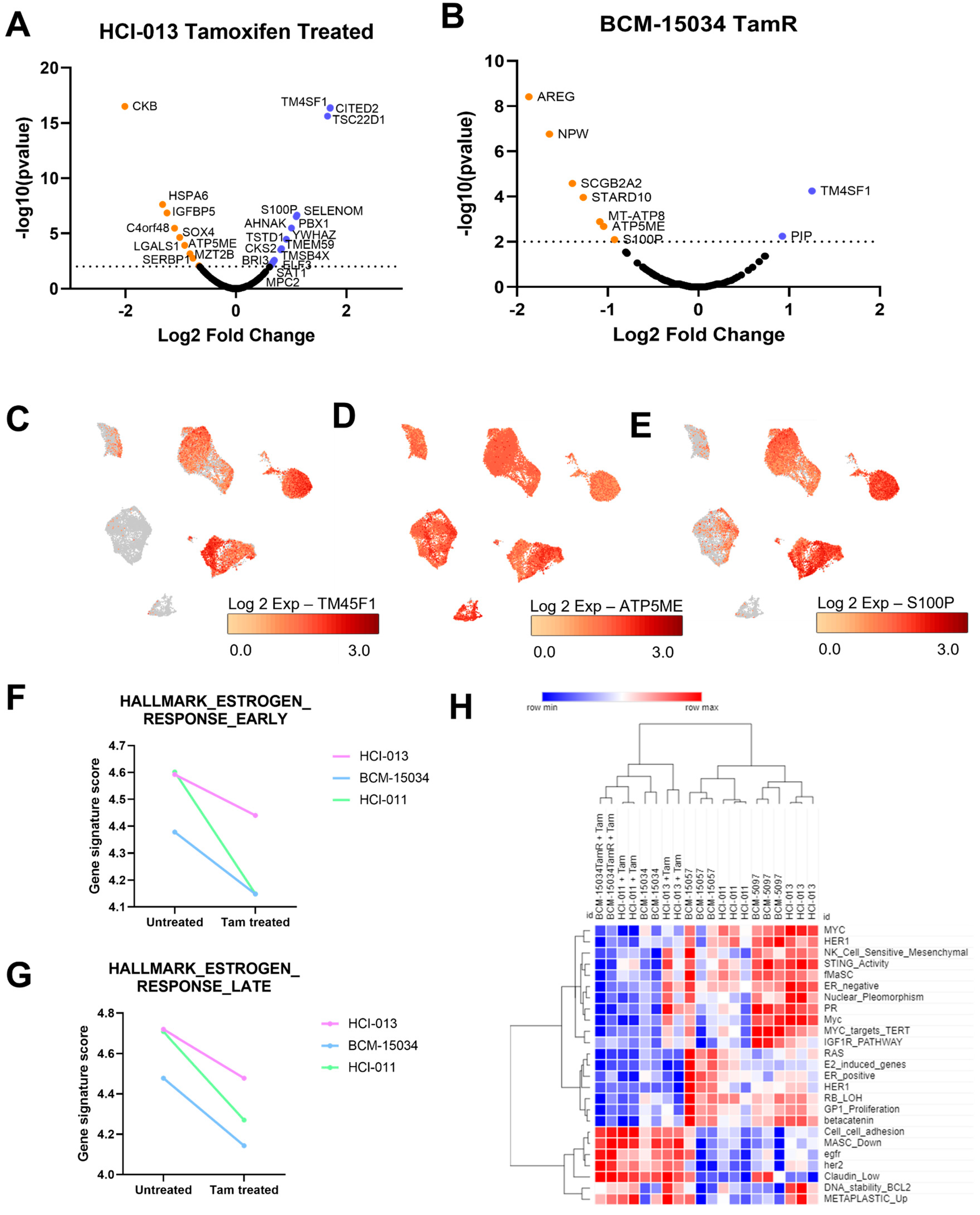 Cancers 15 03179 g005 Cancers 15 03179 g005