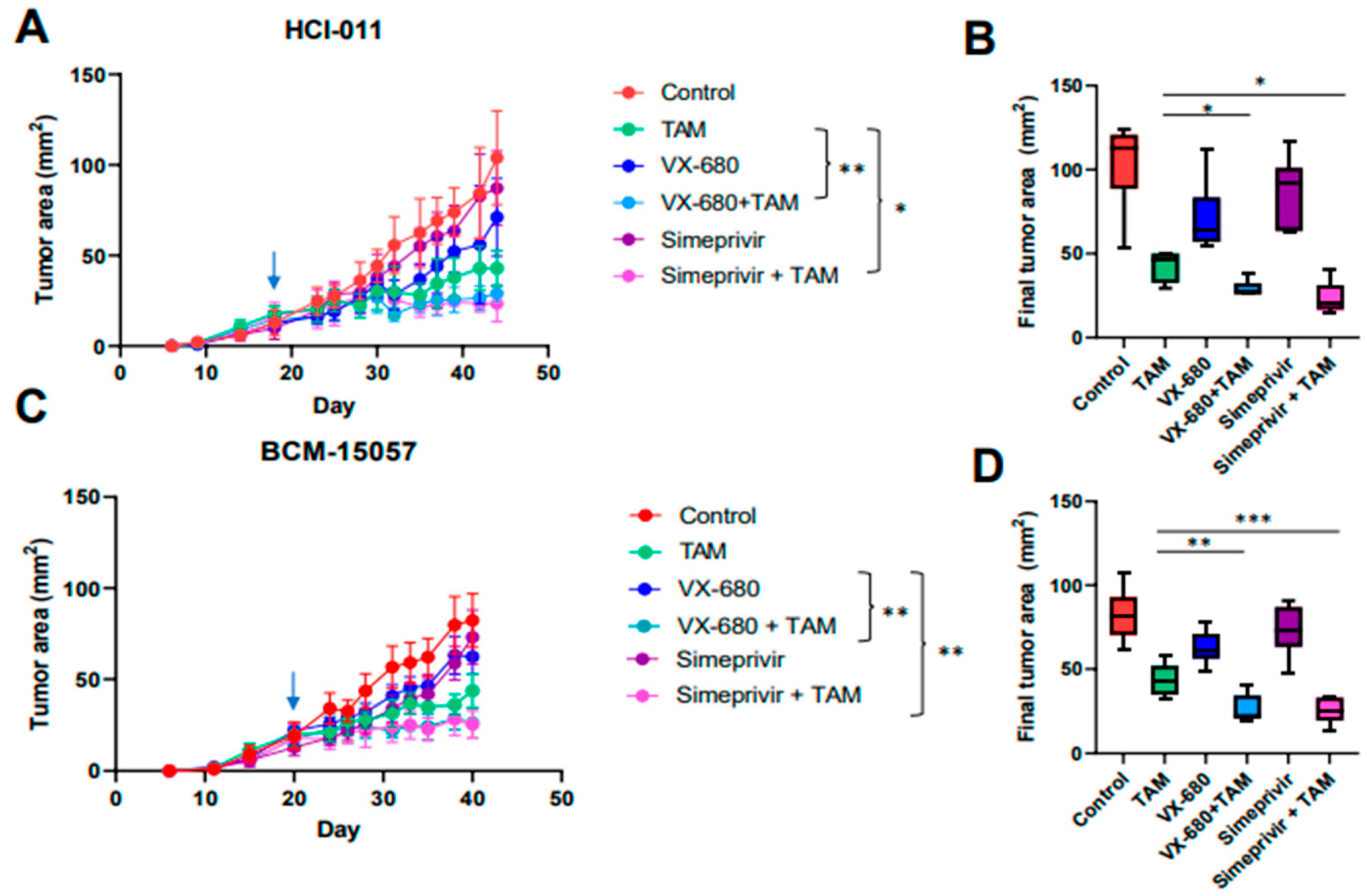 Cancers 15 03179 g007 Cancers 15 03179 g007