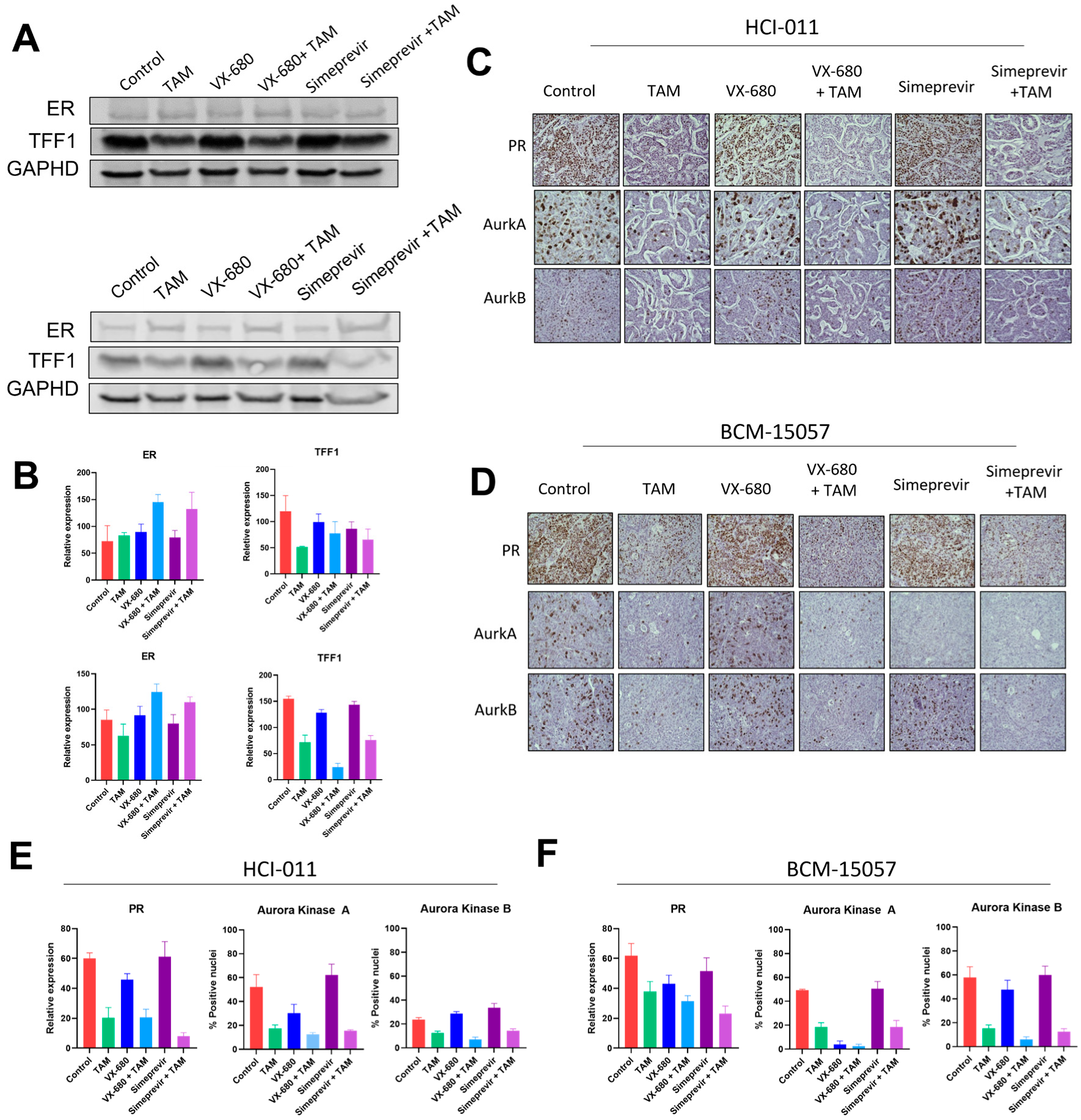Cancers 15 03179 g008 Cancers 15 03179 g008