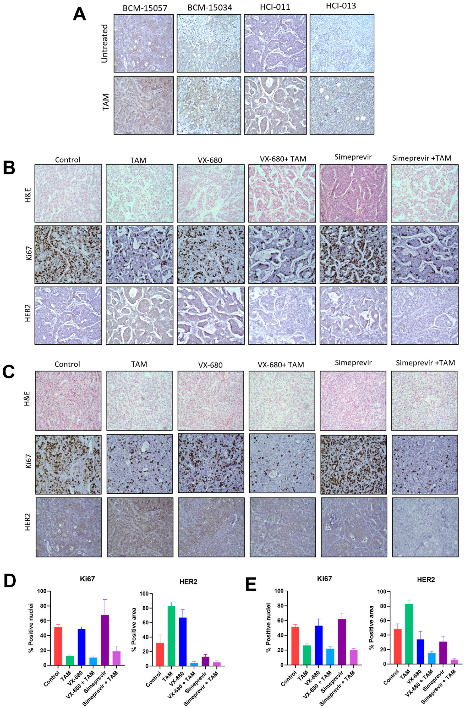 Cancers 15 03179 g009 Cancers 15 03179 g009