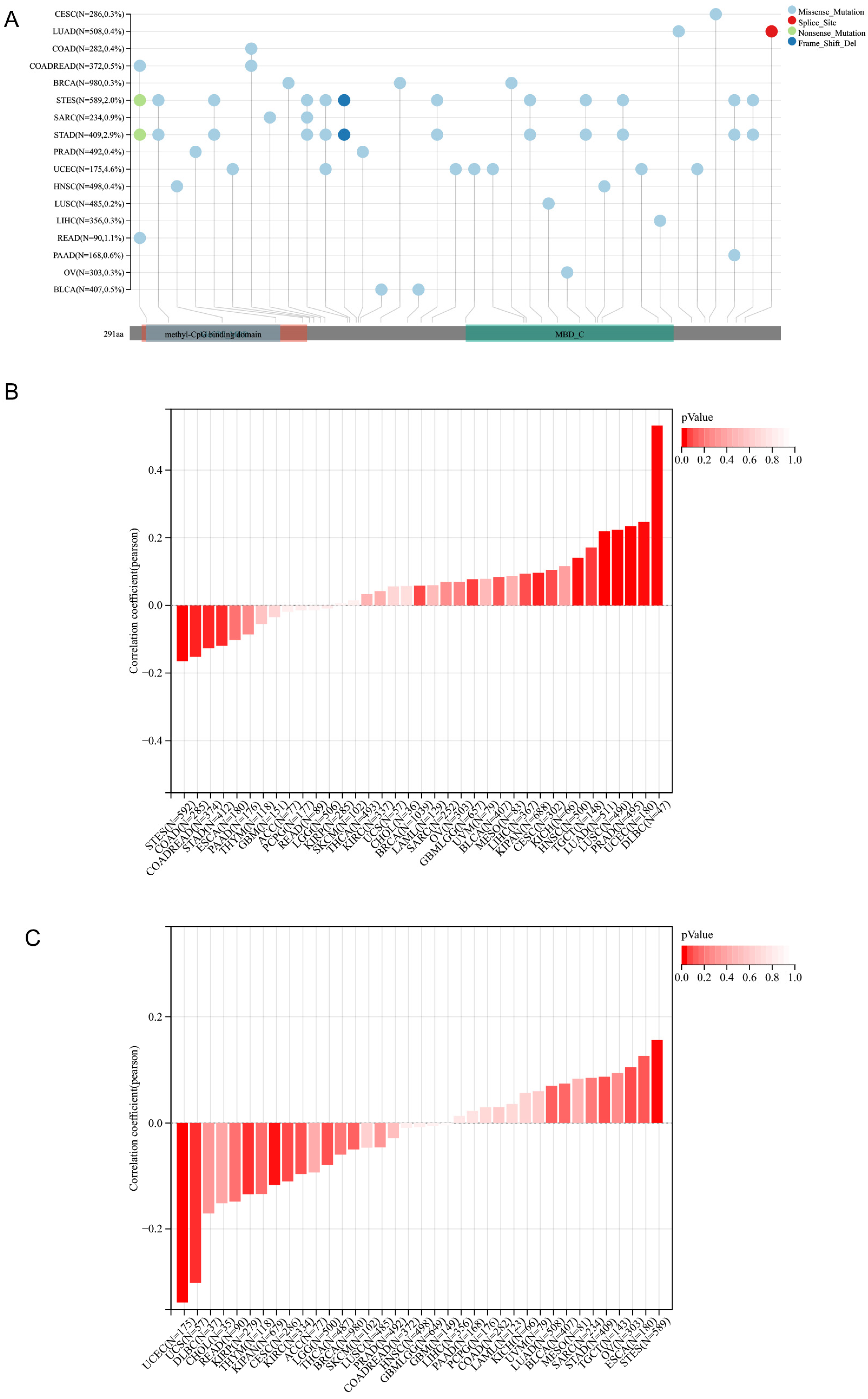 Cancers 15 03185 g003