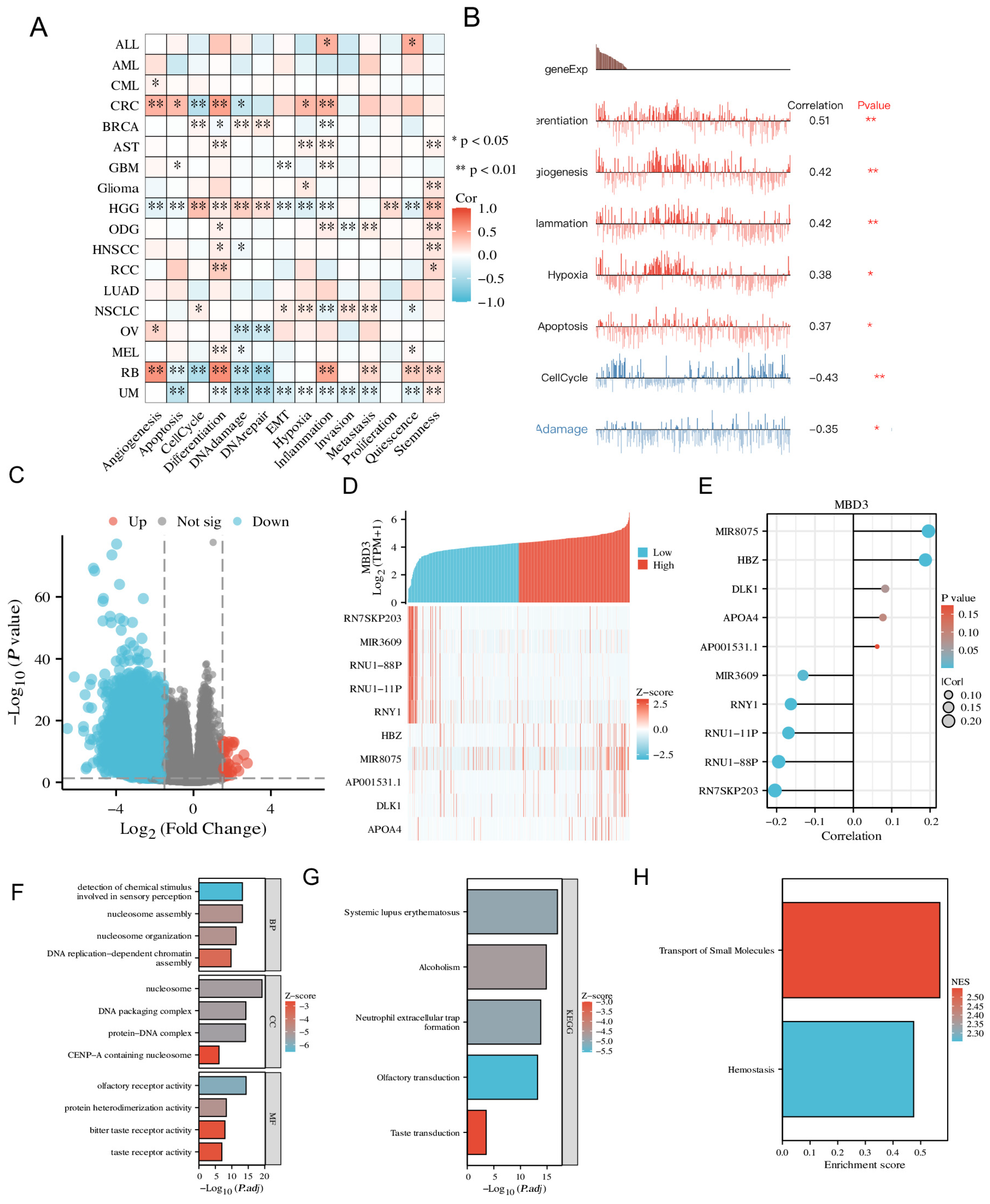 Cancers 15 03185 g004