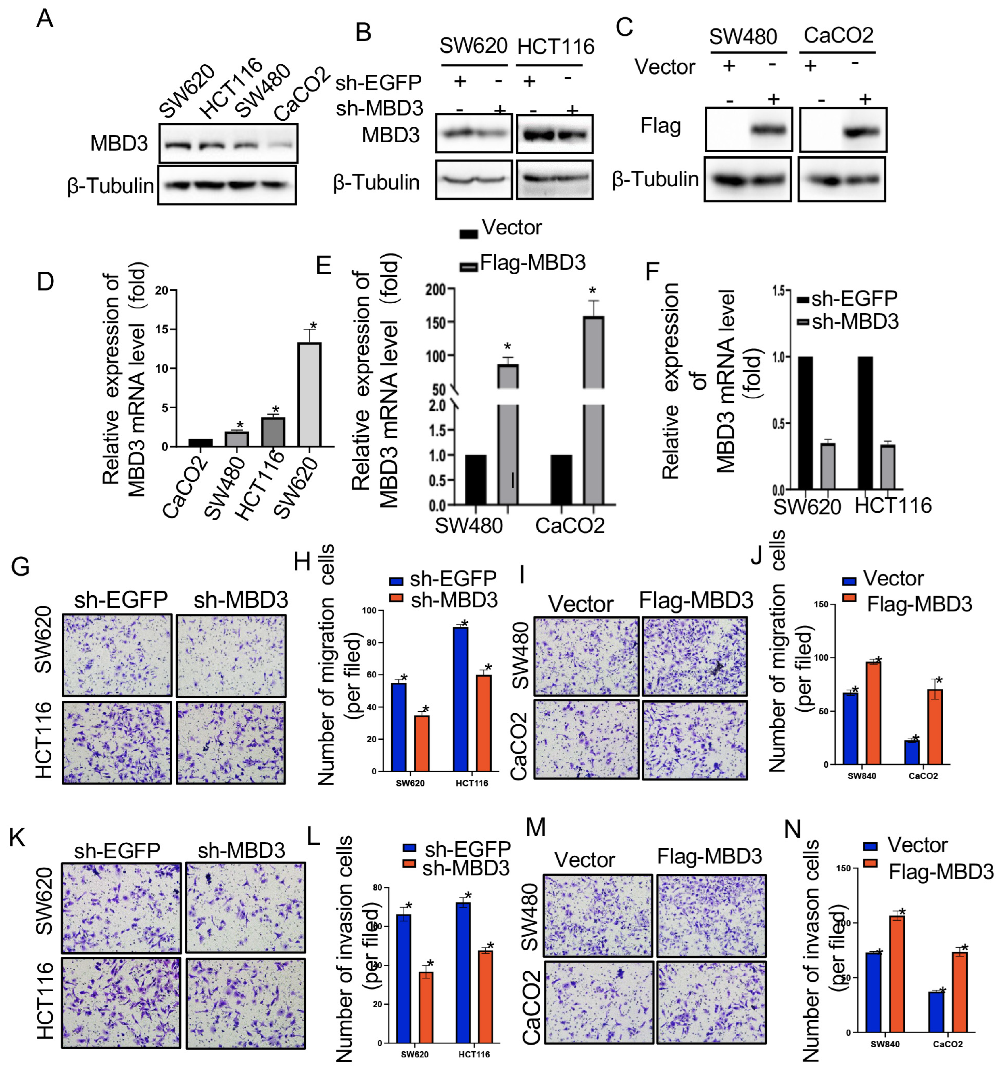 Cancers 15 03185 g006