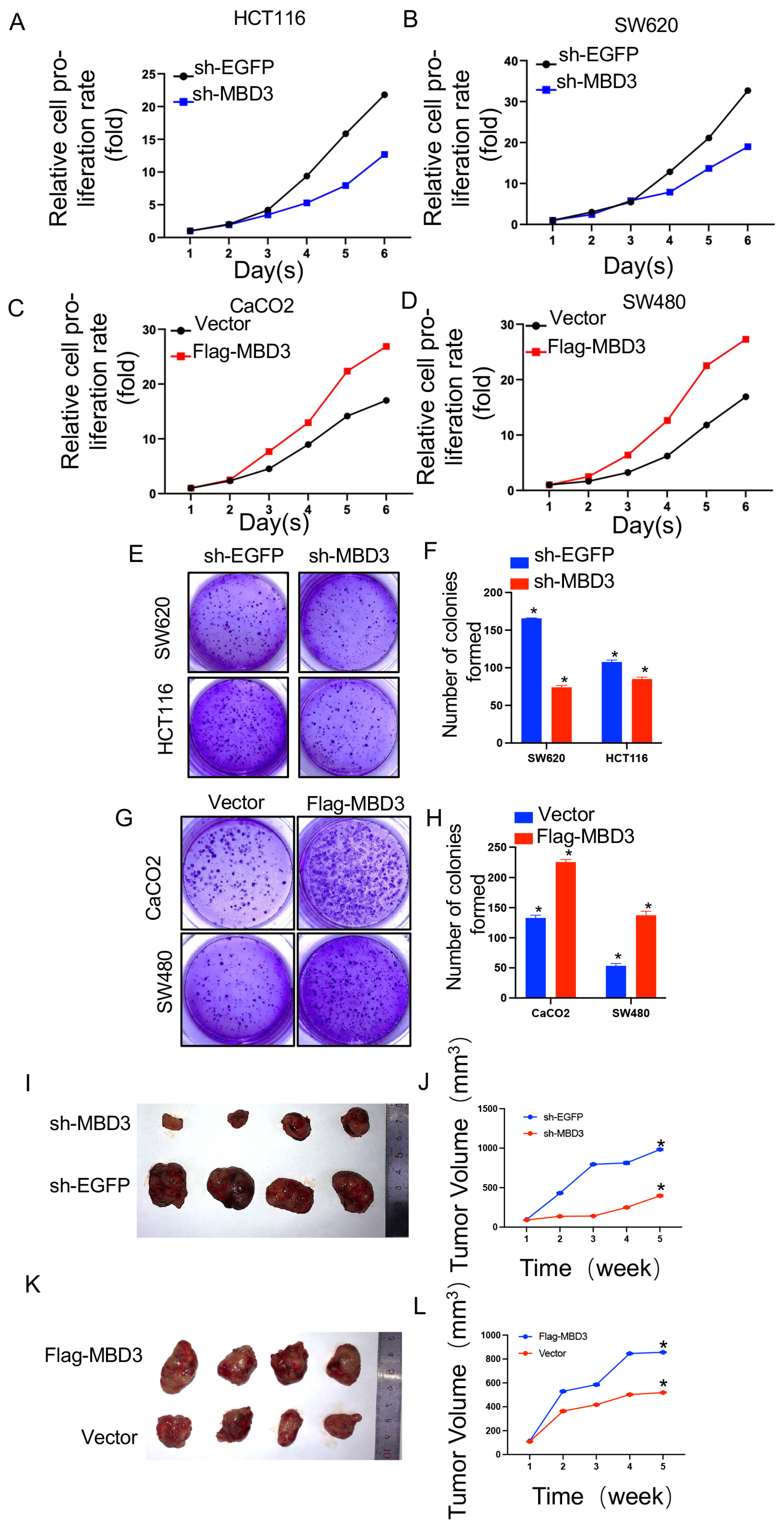Cancers 15 03185 g007