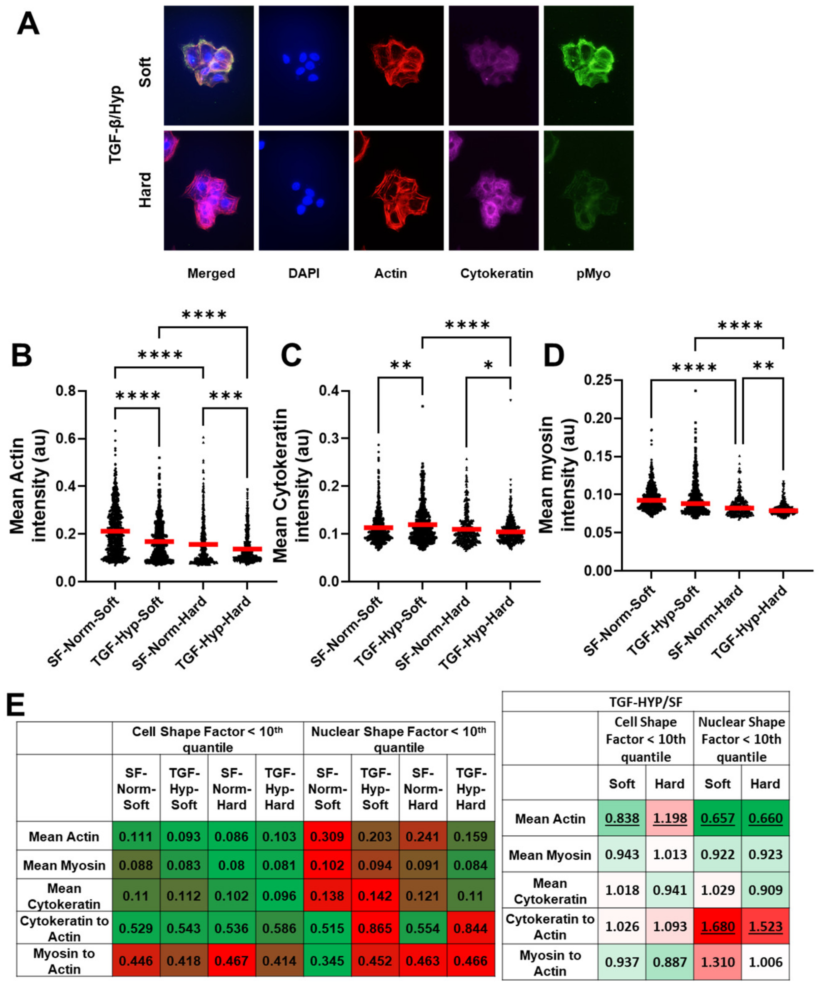 Cancers 15 03186 g003 Cancers 15 03186 g003