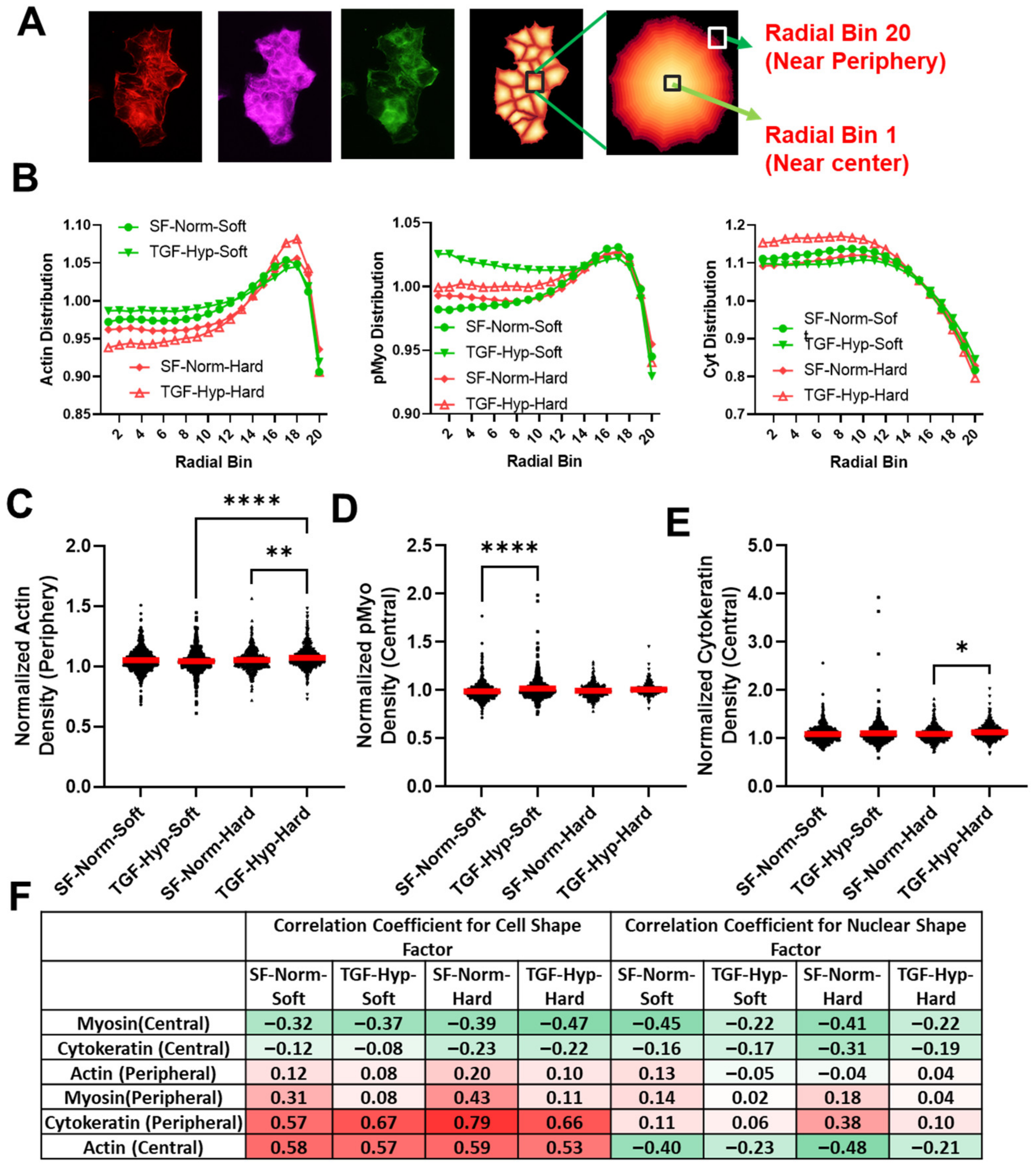 Cancers 15 03186 g004 Cancers 15 03186 g004