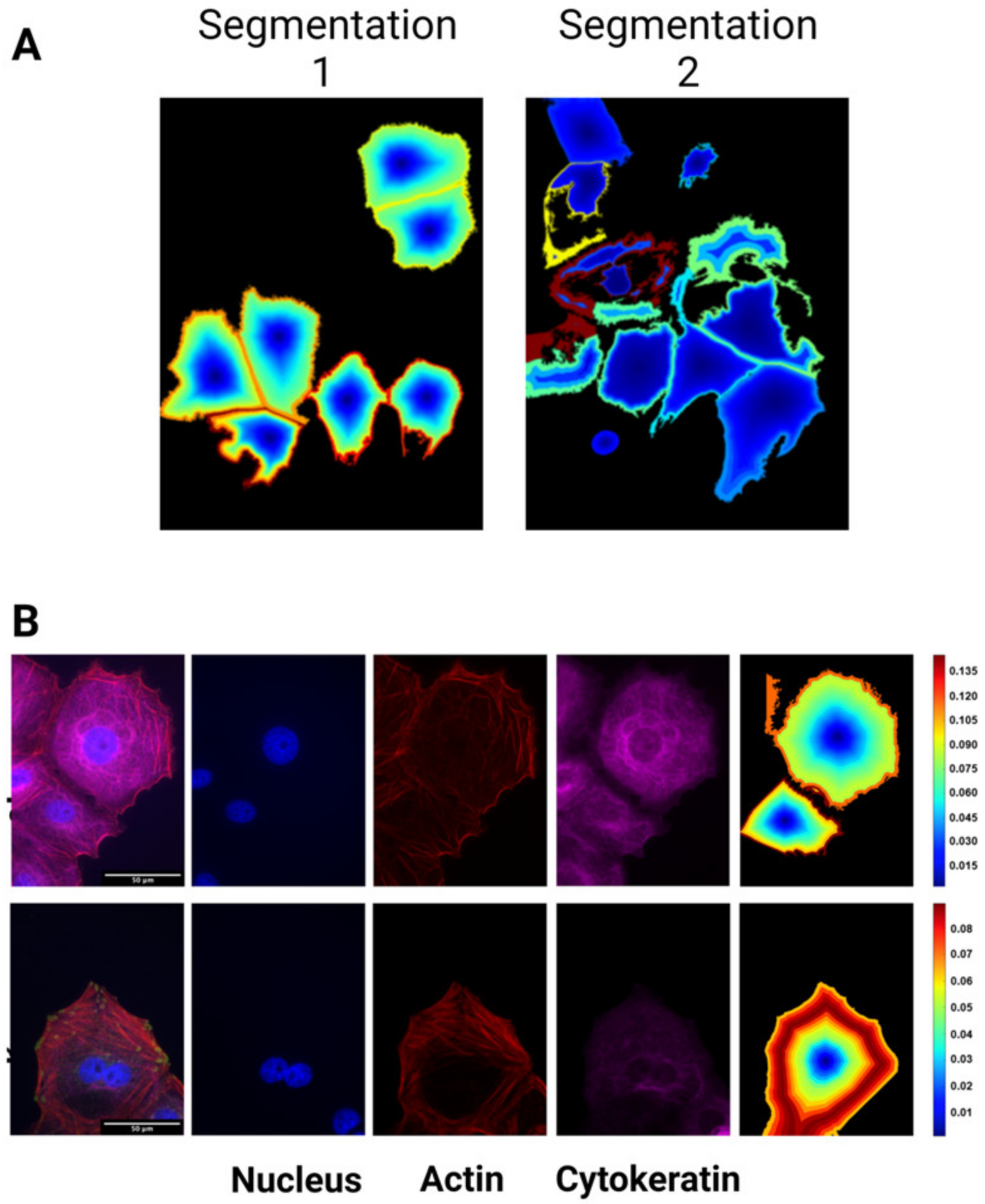 Cancers 15 03186 g0a1 Cancers 15 03186 g0a1