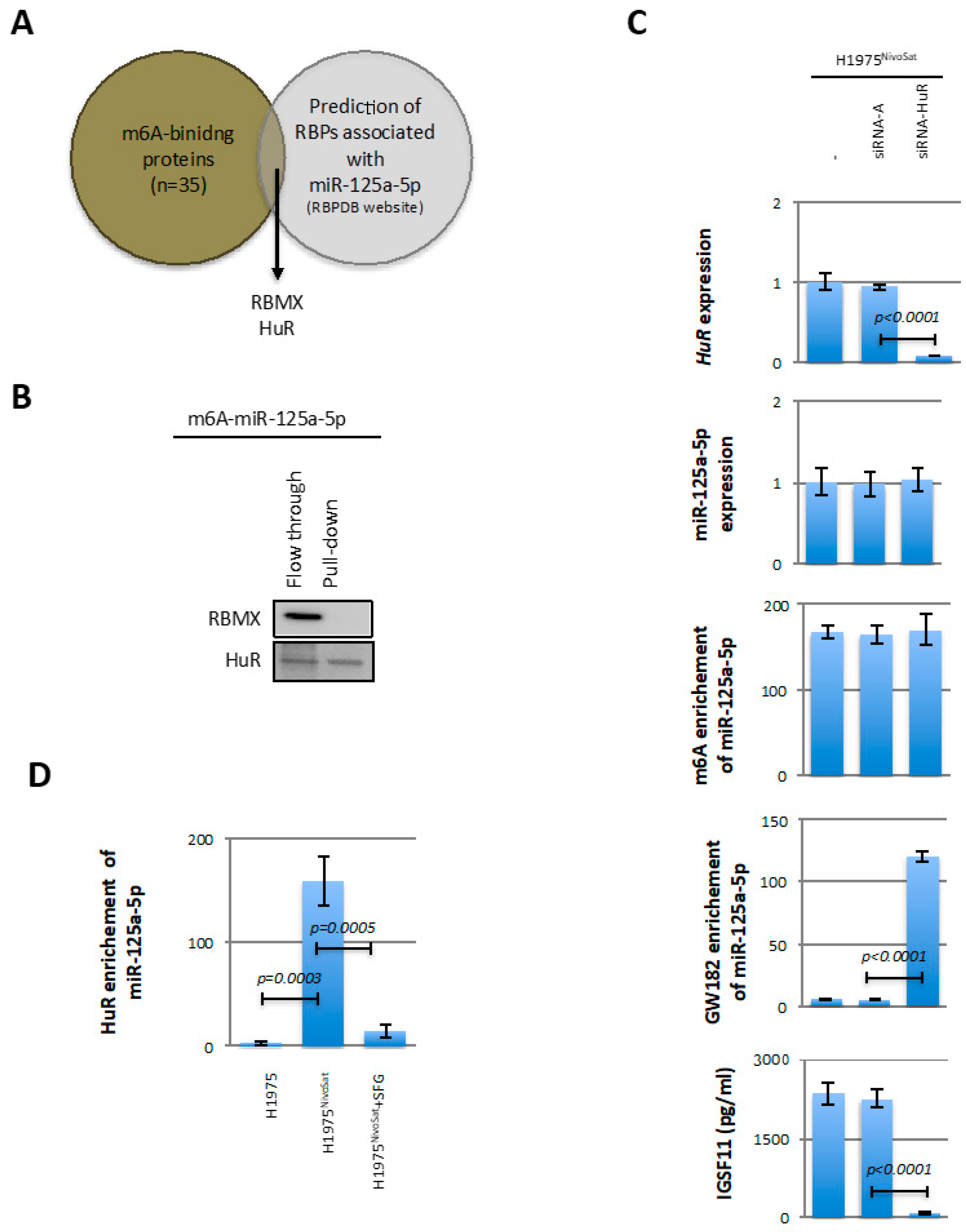 Cancers 15 03188 g004