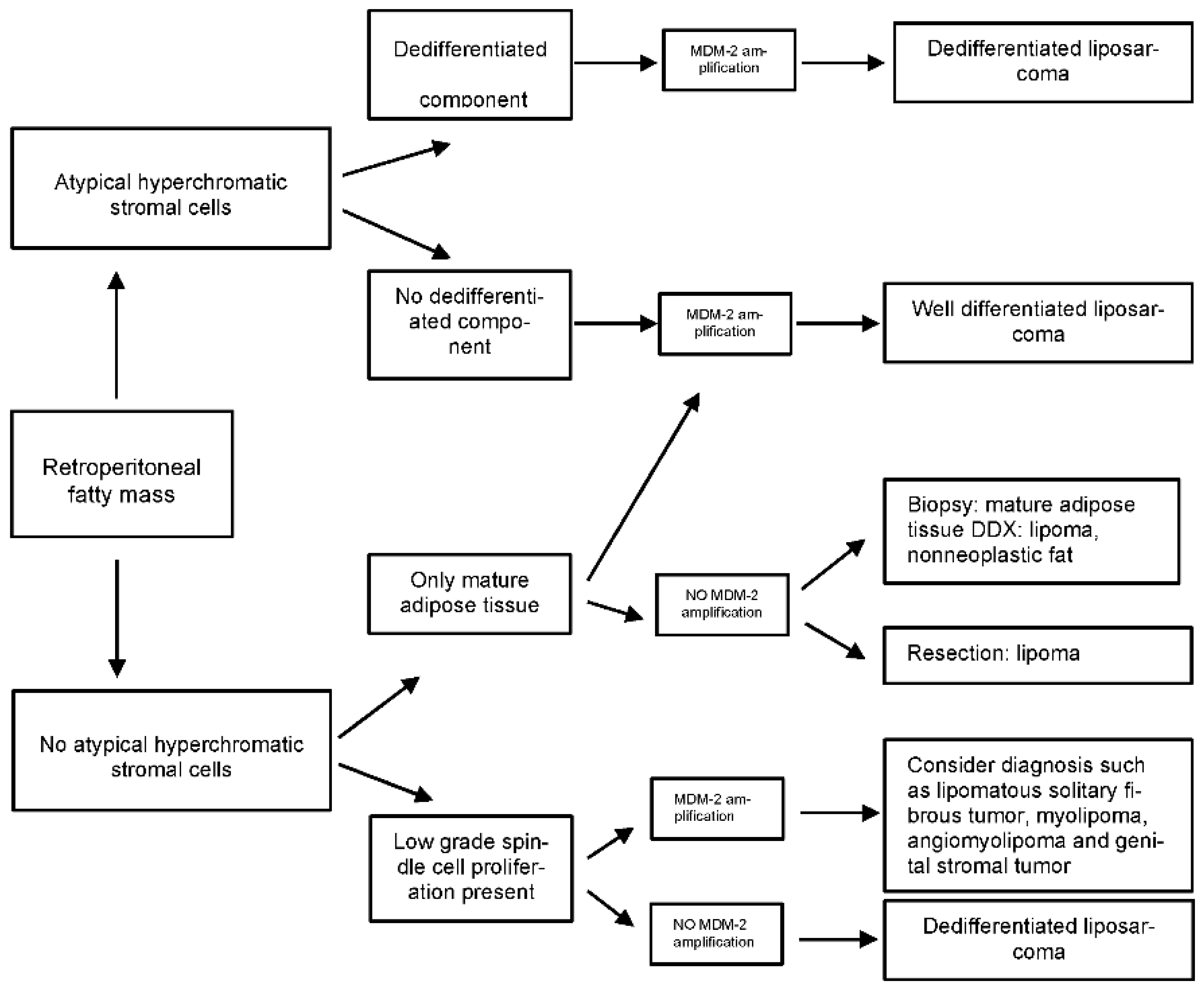 Cancers 15 03194 g002 Cancers 15 03194 g002
