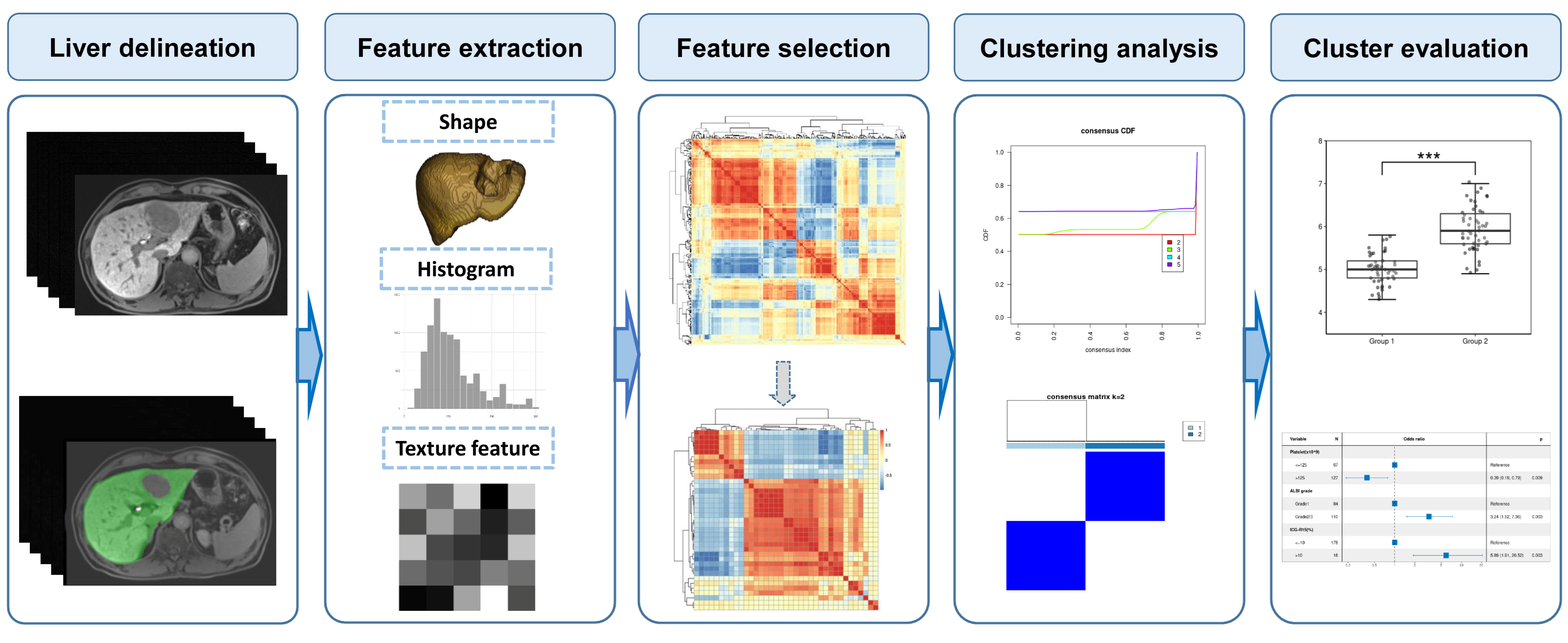 Cancers 15 03197 g002 Cancers 15 03197 g002