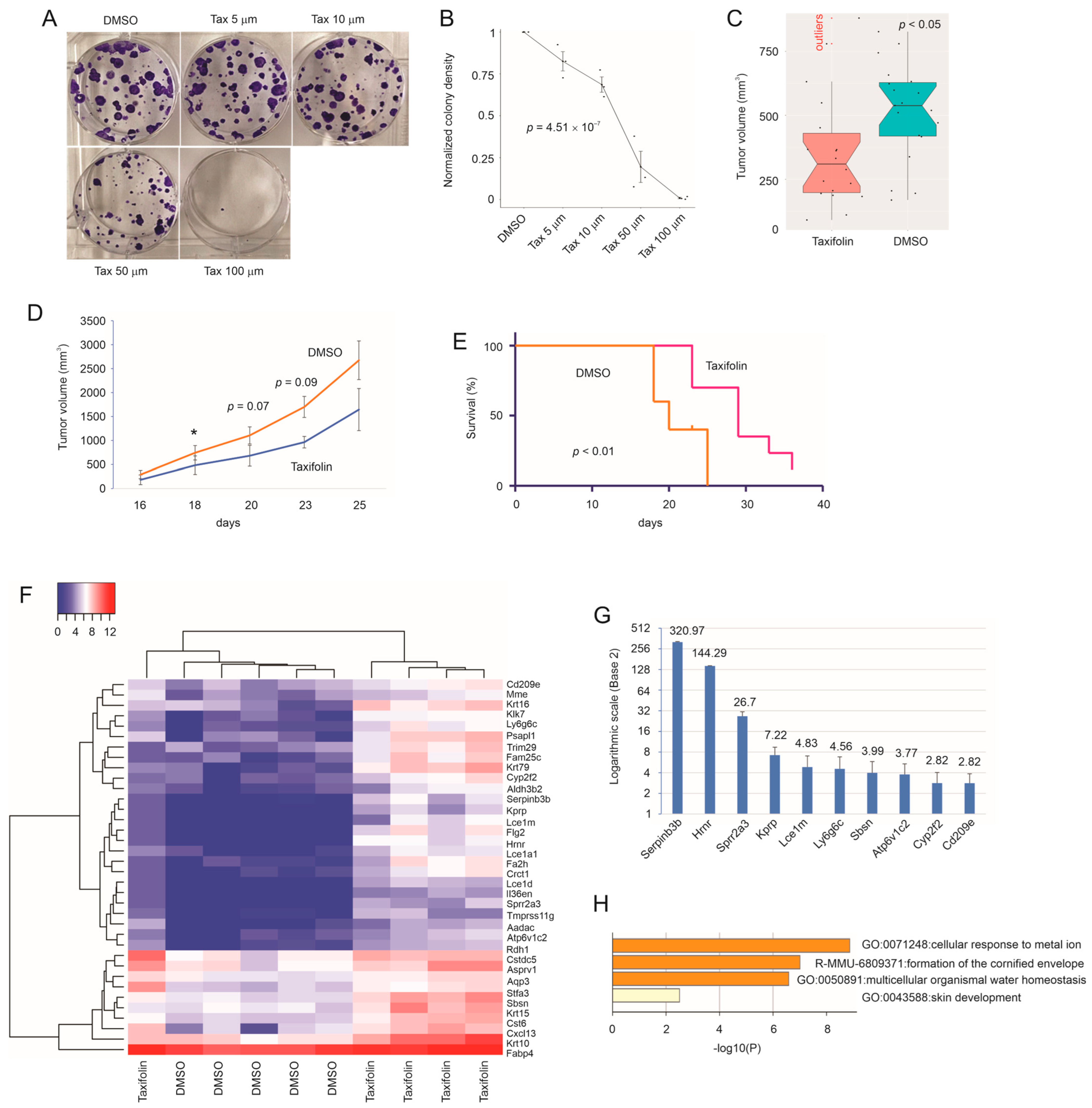 Cancers 15 03203 g001 Cancers 15 03203 g001