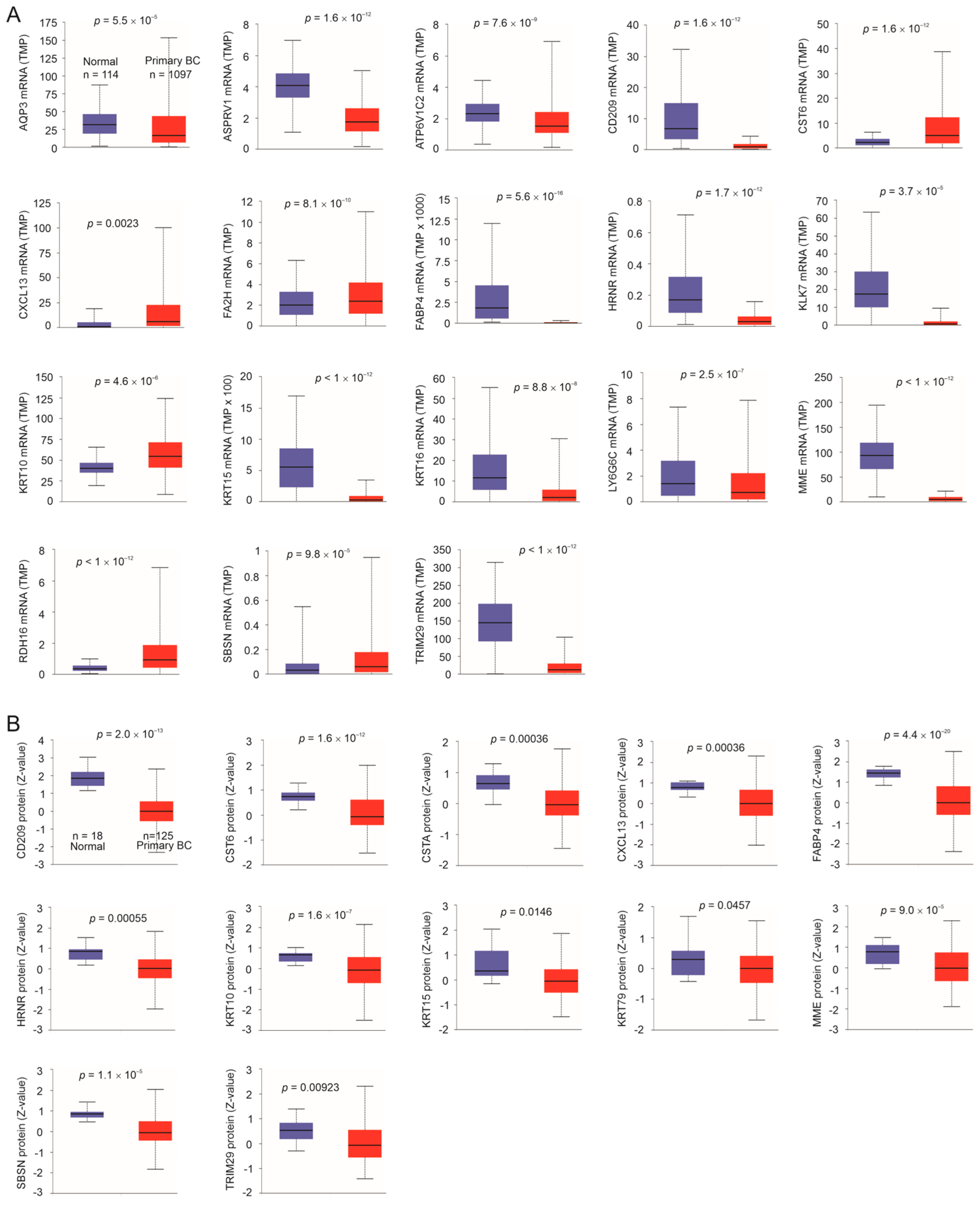 Cancers 15 03203 g003 Cancers 15 03203 g003