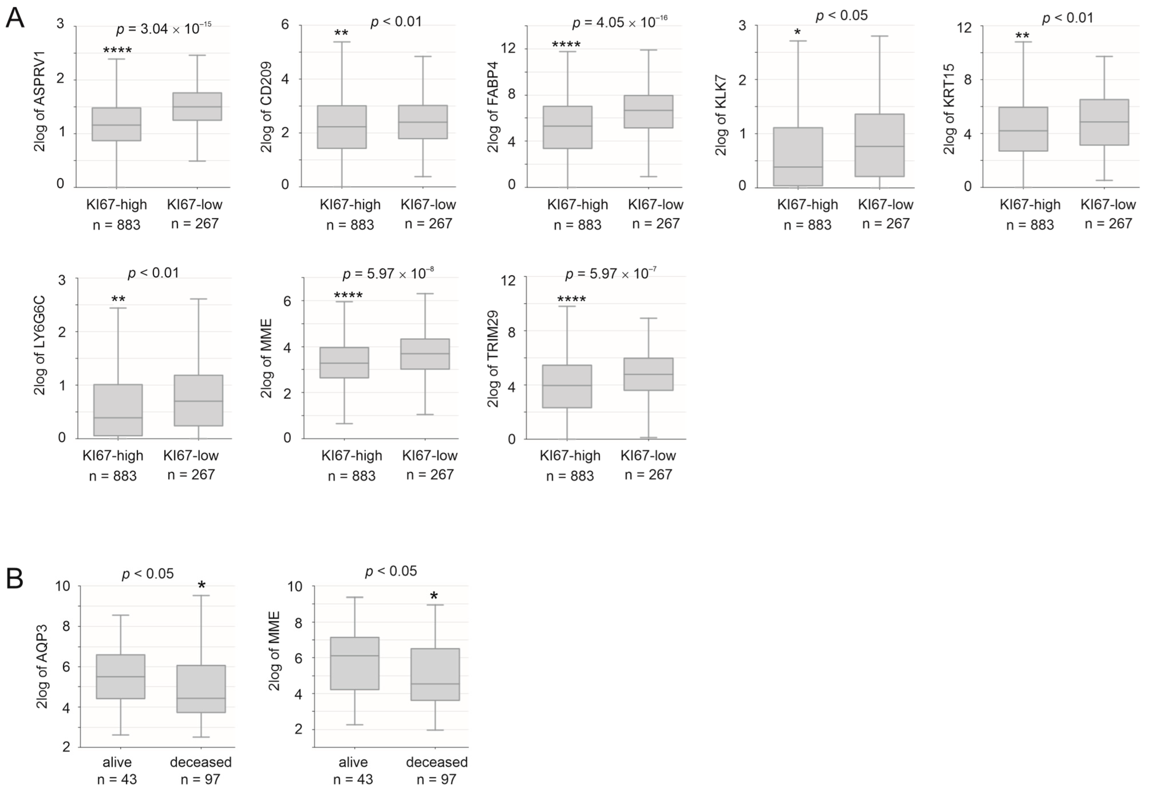 Cancers 15 03203 g004 Cancers 15 03203 g004