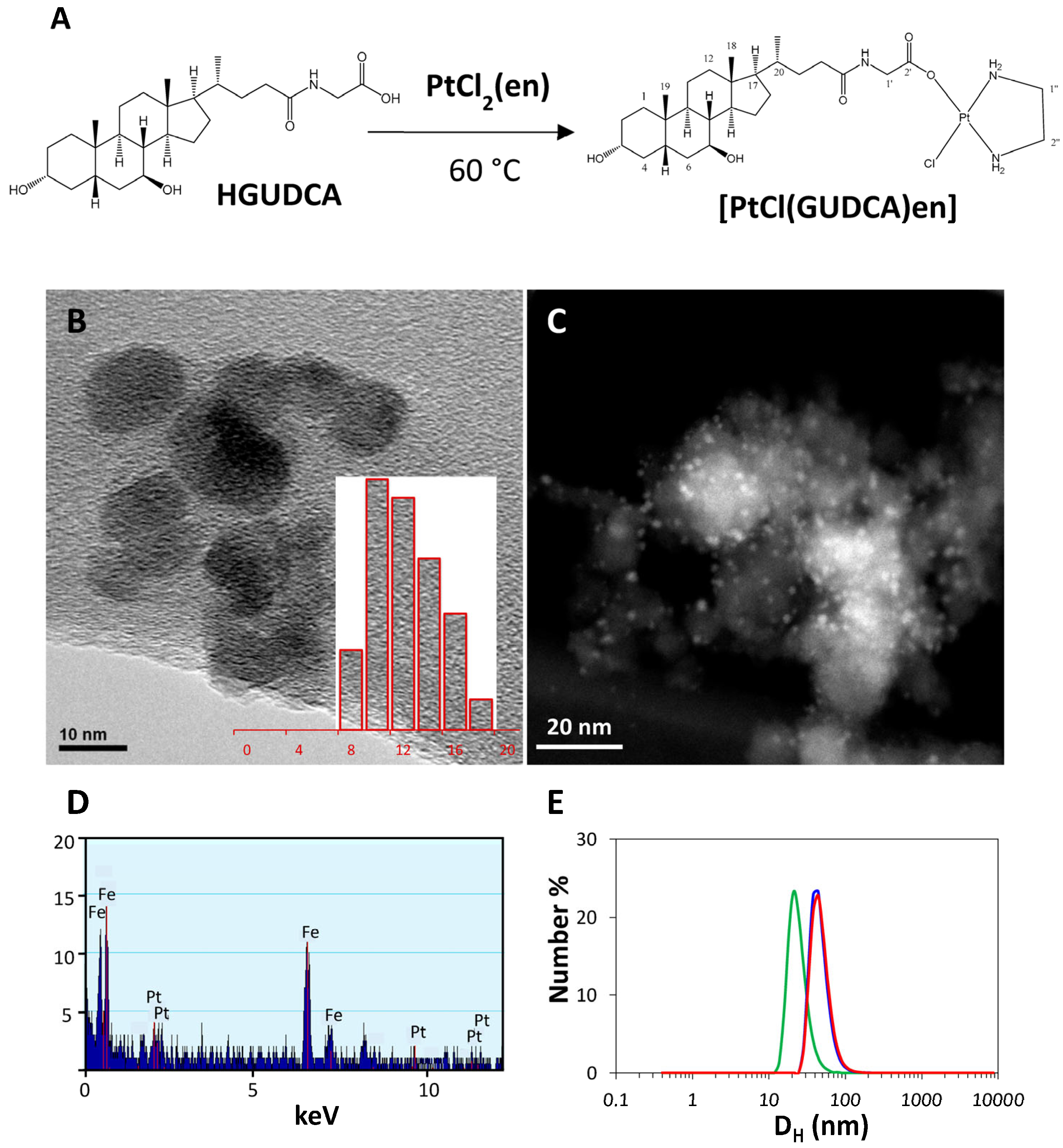 Cancers 15 03204 g001