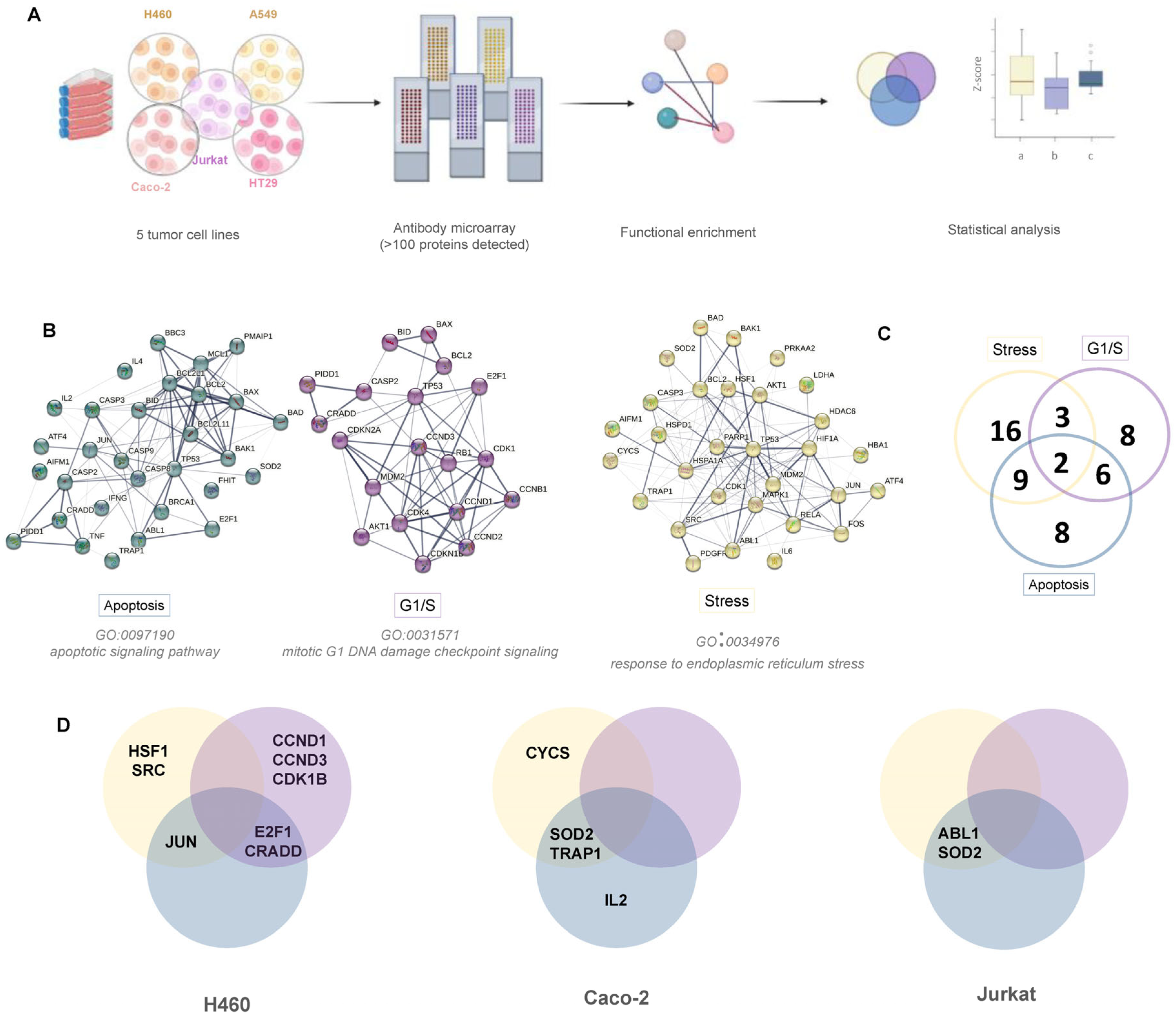 Cancers 15 03204 g003
