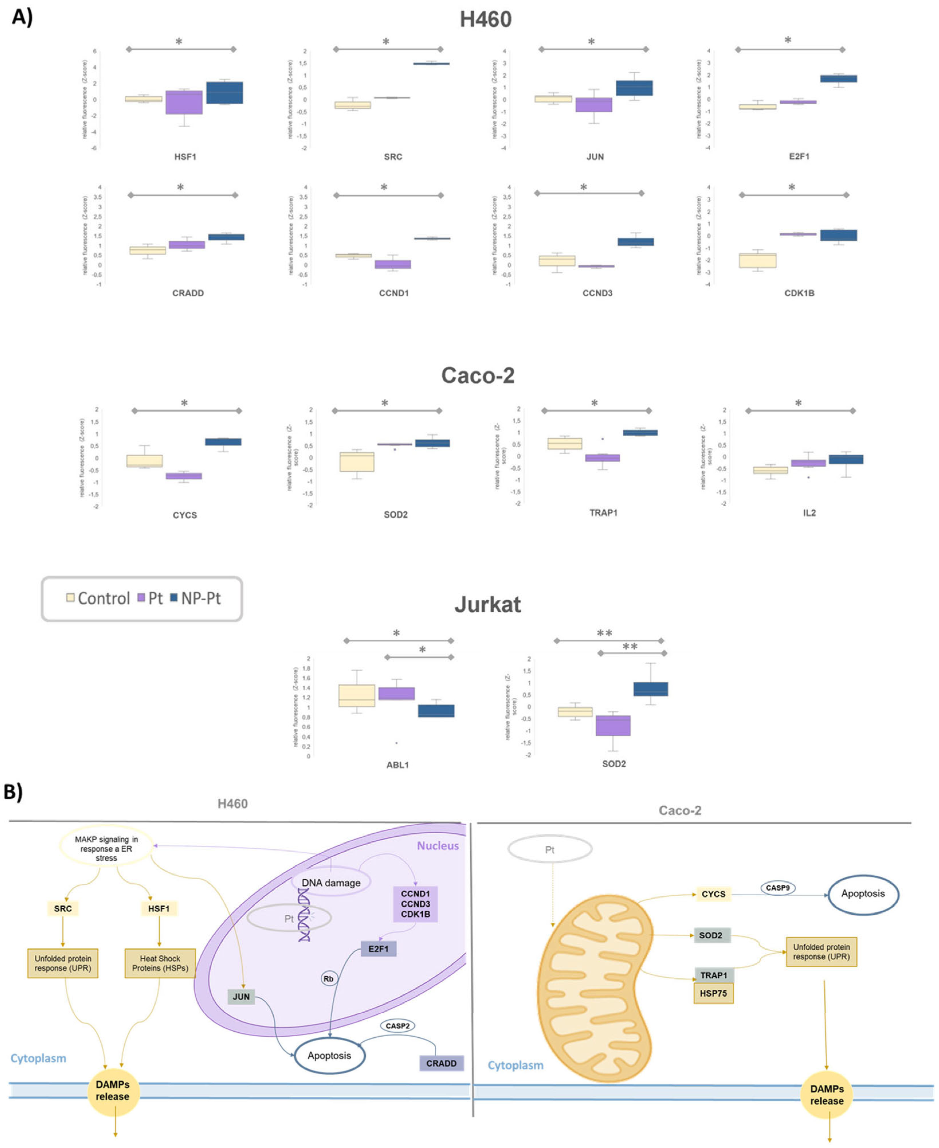 Cancers 15 03204 g004