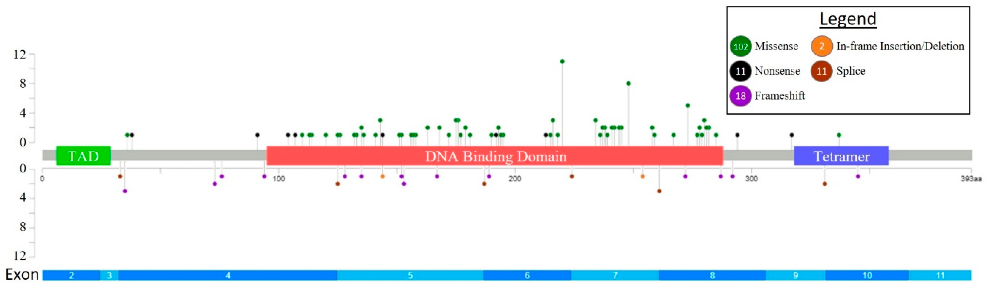 Cancers 15 03210 g001 Cancers 15 03210 g001