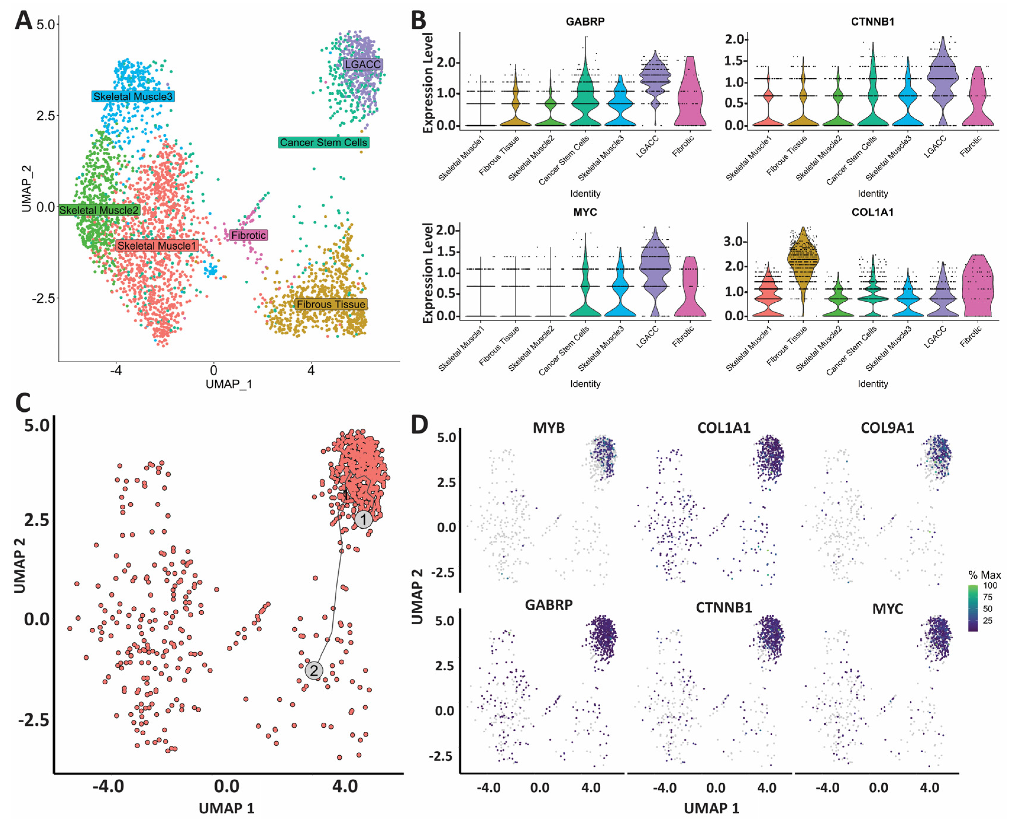 Cancers 15 03211 g004 Cancers 15 03211 g004