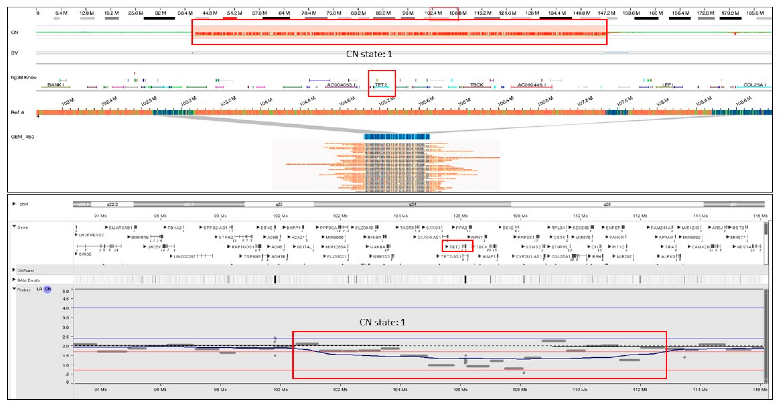 Cancers Free FullText Clinical Utility of Optical Genome Mapping and 523Gene Next