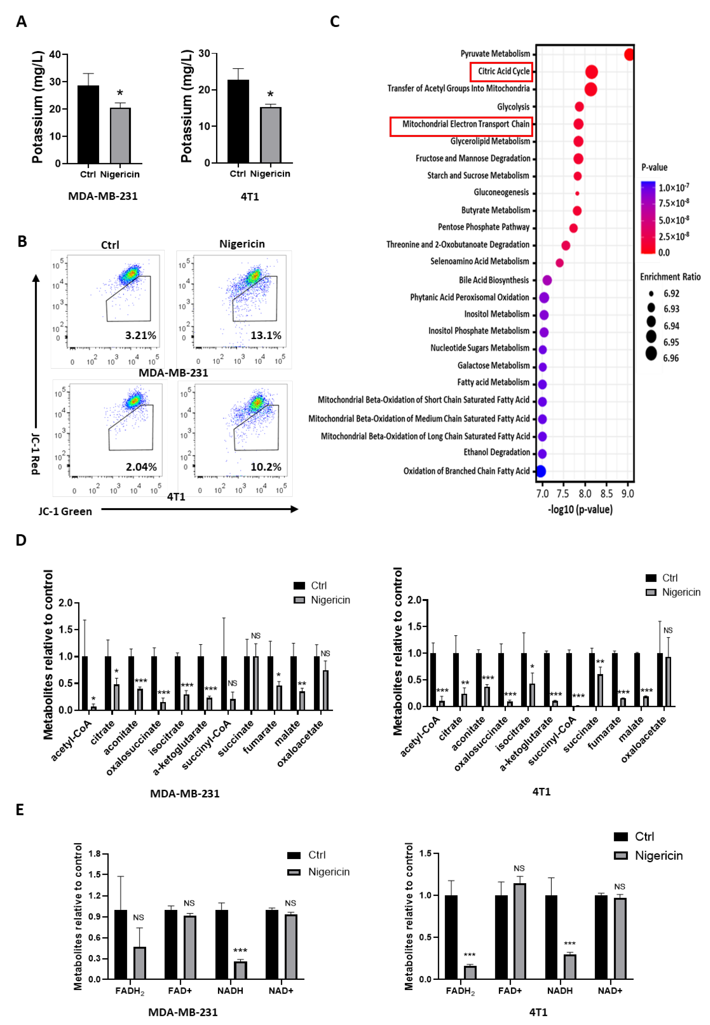 Cancers 15 03221 g003