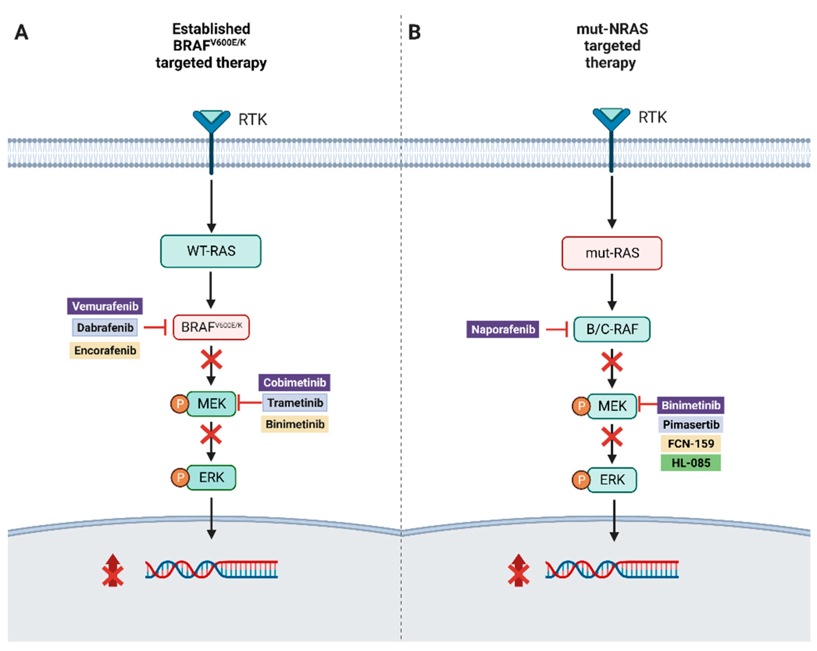 Cancers 15 03224 g001 Cancers 15 03224 g001
