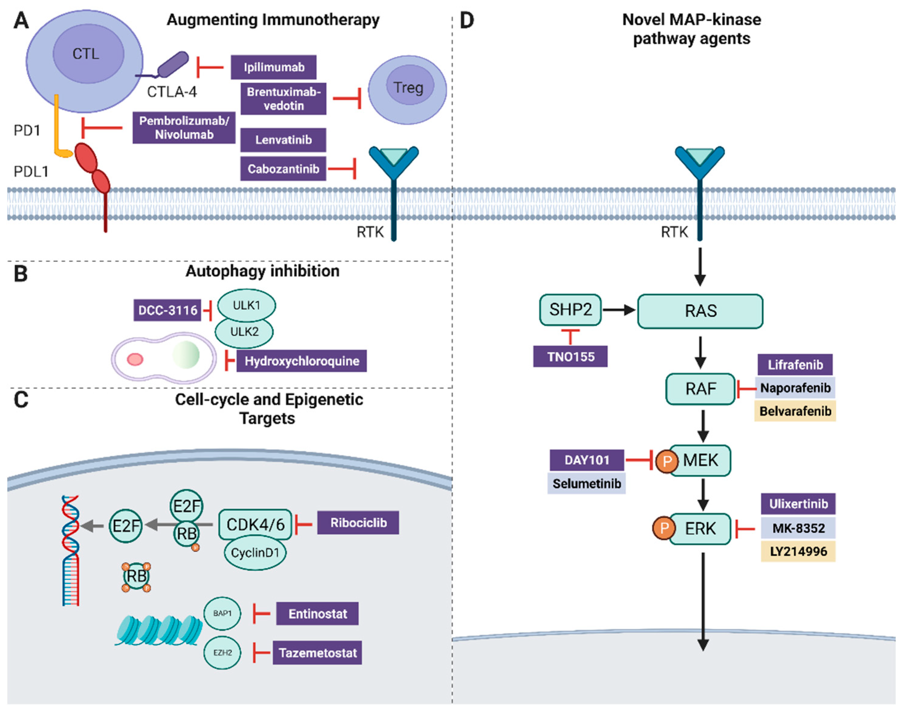 Cancers 15 03224 g002 Cancers 15 03224 g002