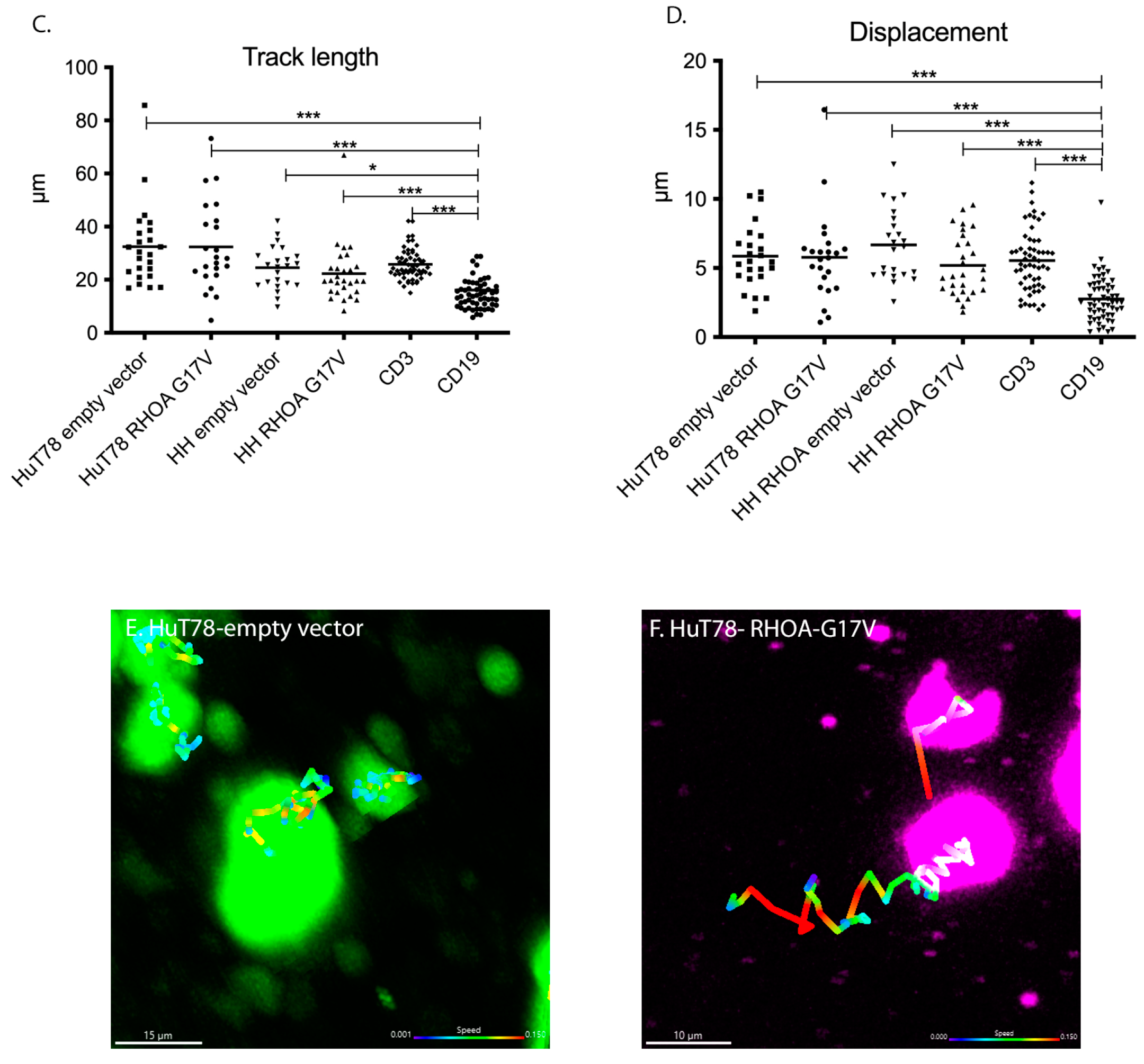 Cancers 15 03226 g002b Cancers 15 03226 g002b
