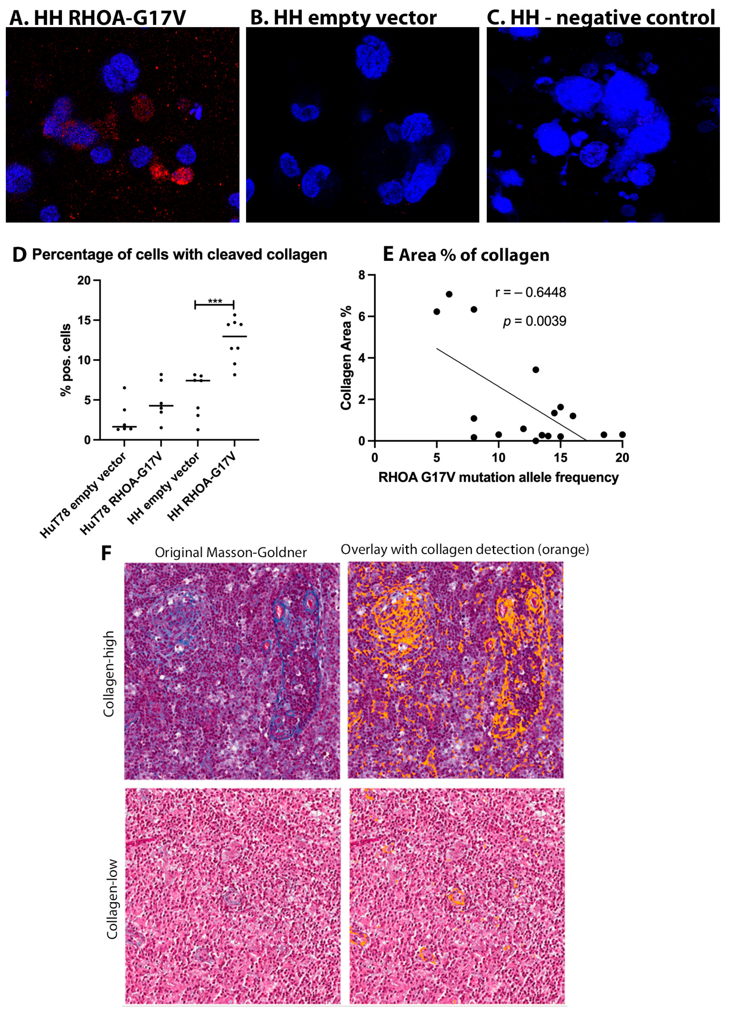 Cancers 15 03226 g003 Cancers 15 03226 g003