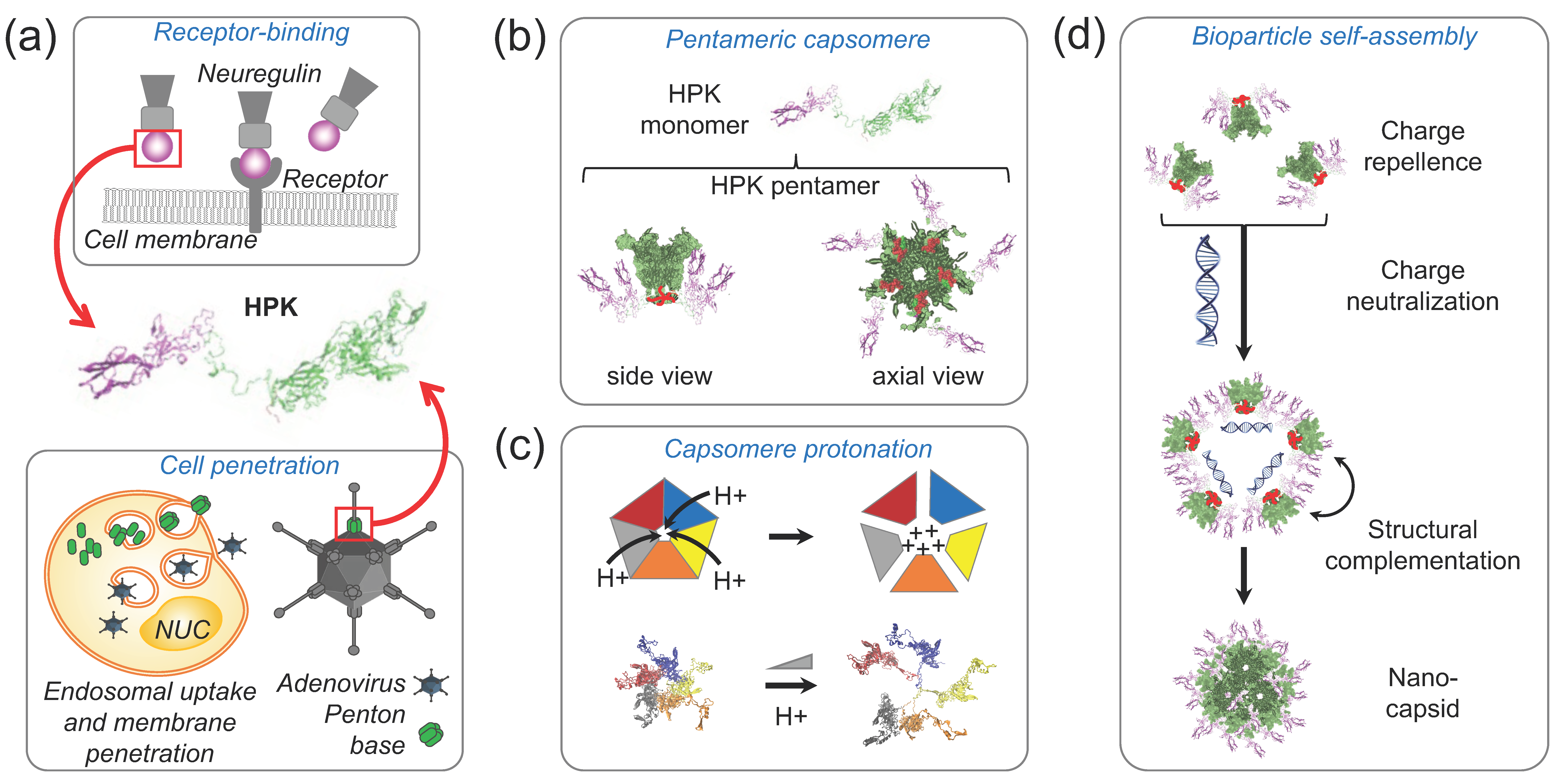 Cancers 15 03240 g003 Cancers 15 03240 g003
