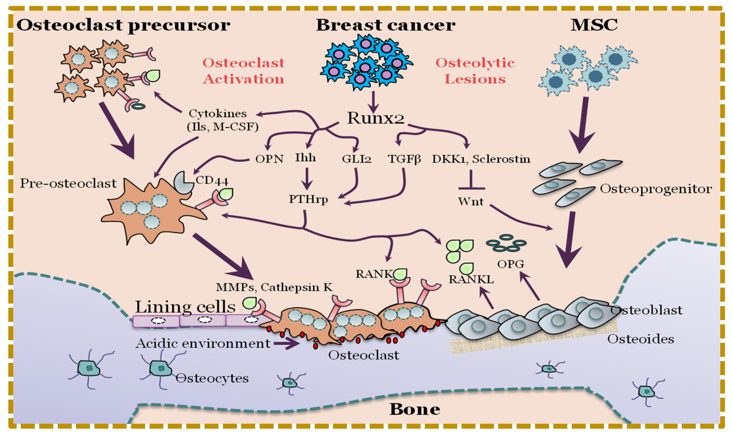Cancers 15 03247 g002 Cancers 15 03247 g002