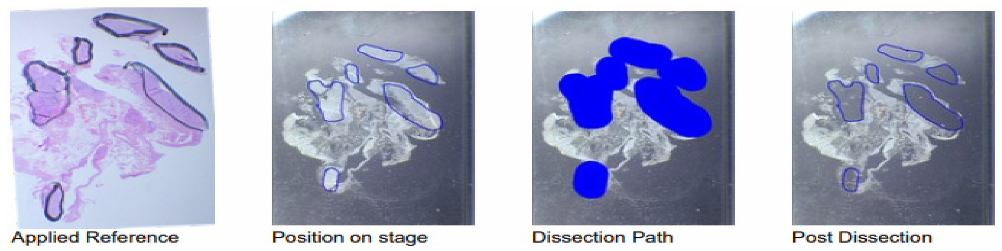 Cancers 15 03249 g002