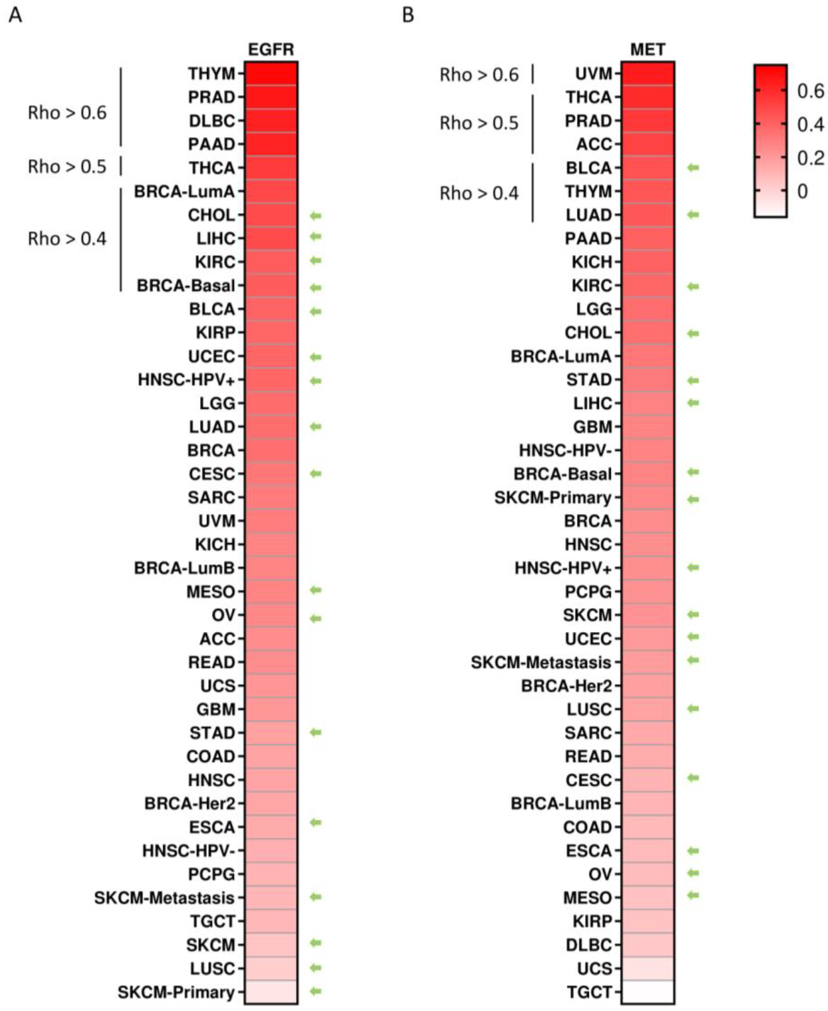 Cancers 15 03250 g003 Cancers 15 03250 g003