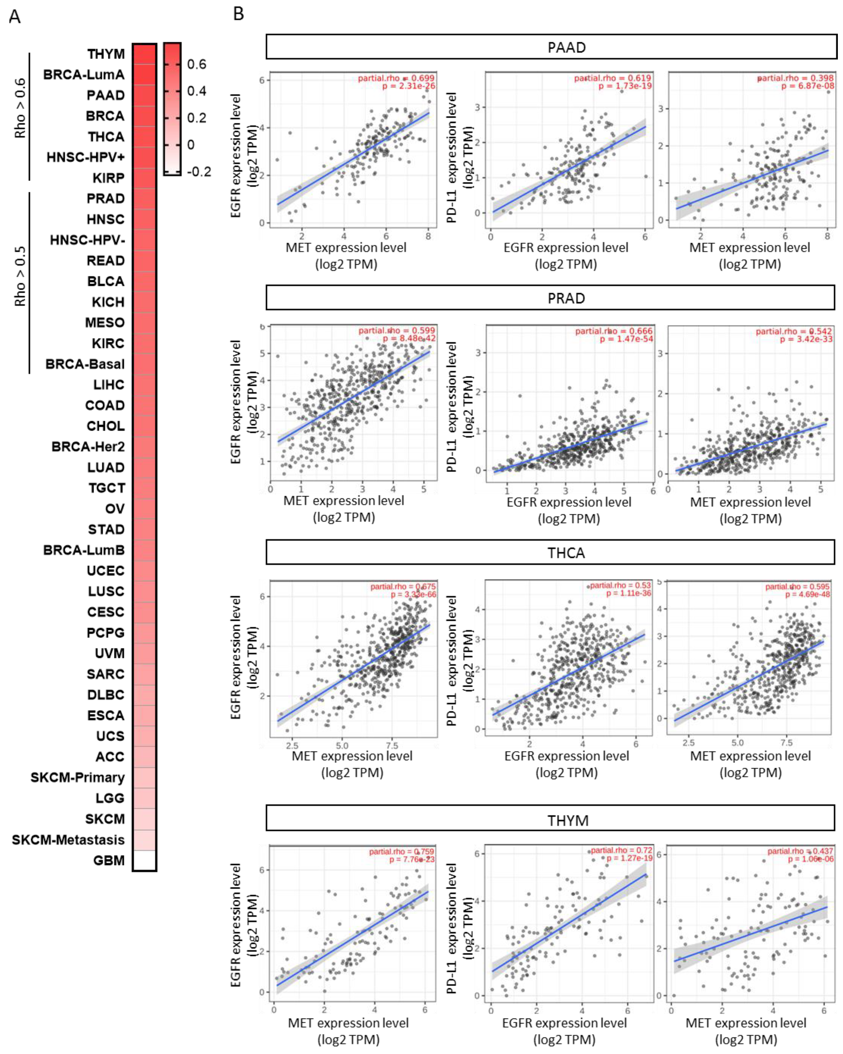 Cancers 15 03250 g005 Cancers 15 03250 g005