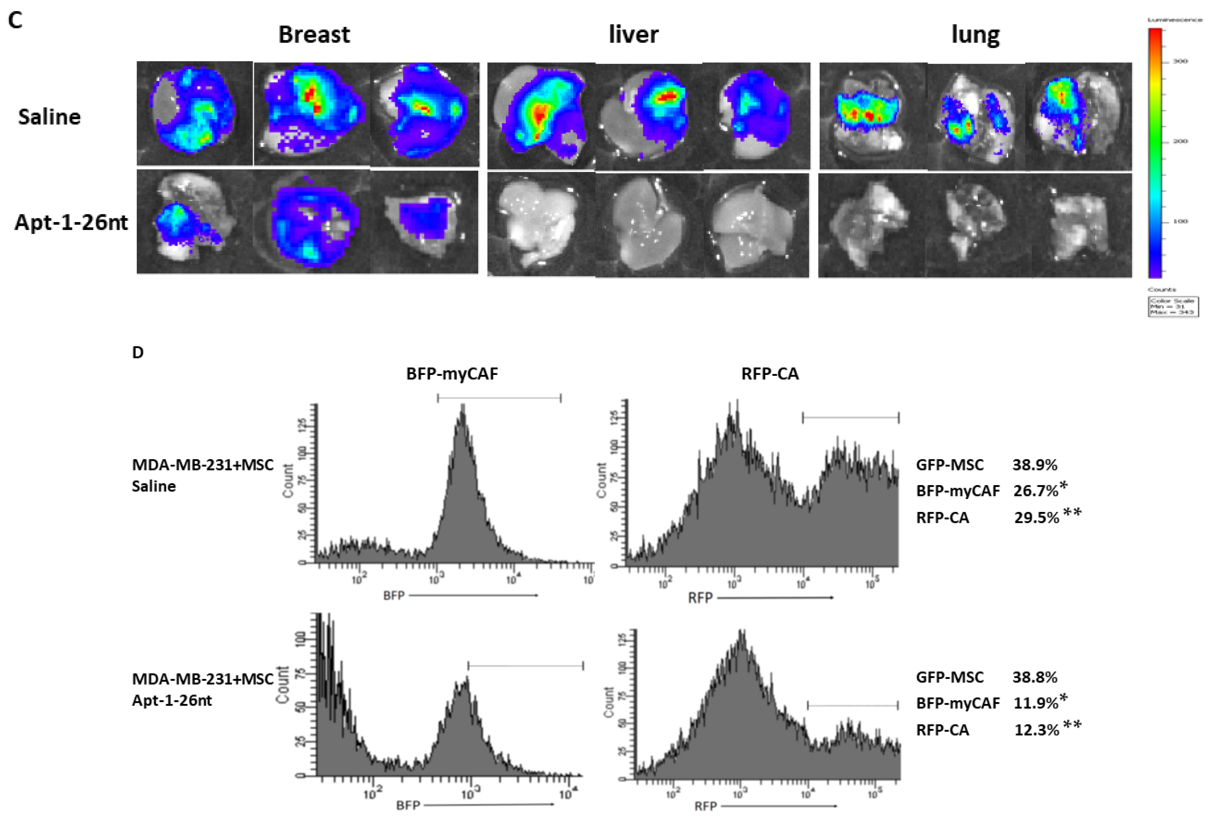 Cancers 15 03254 g004b
