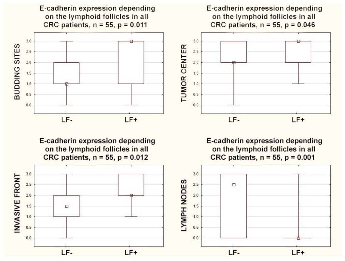 Cancers 15 03260 g003 Cancers 15 03260 g003