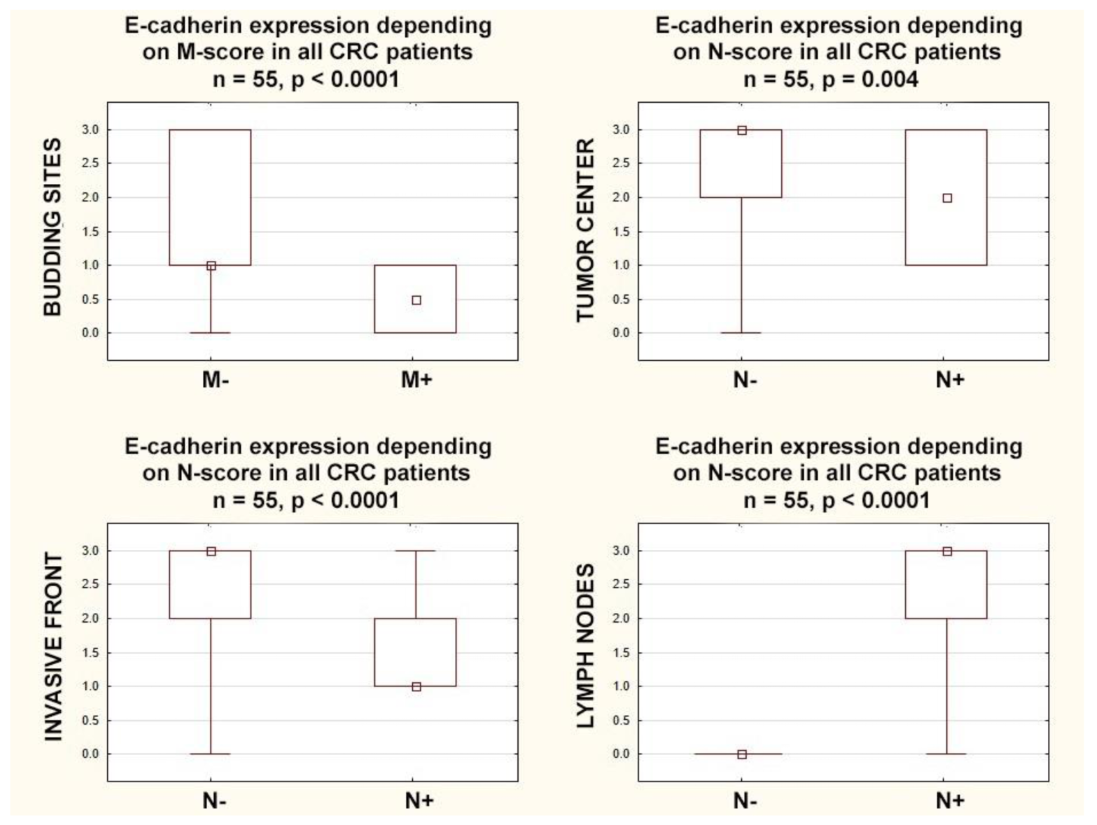 Cancers 15 03260 g004 Cancers 15 03260 g004