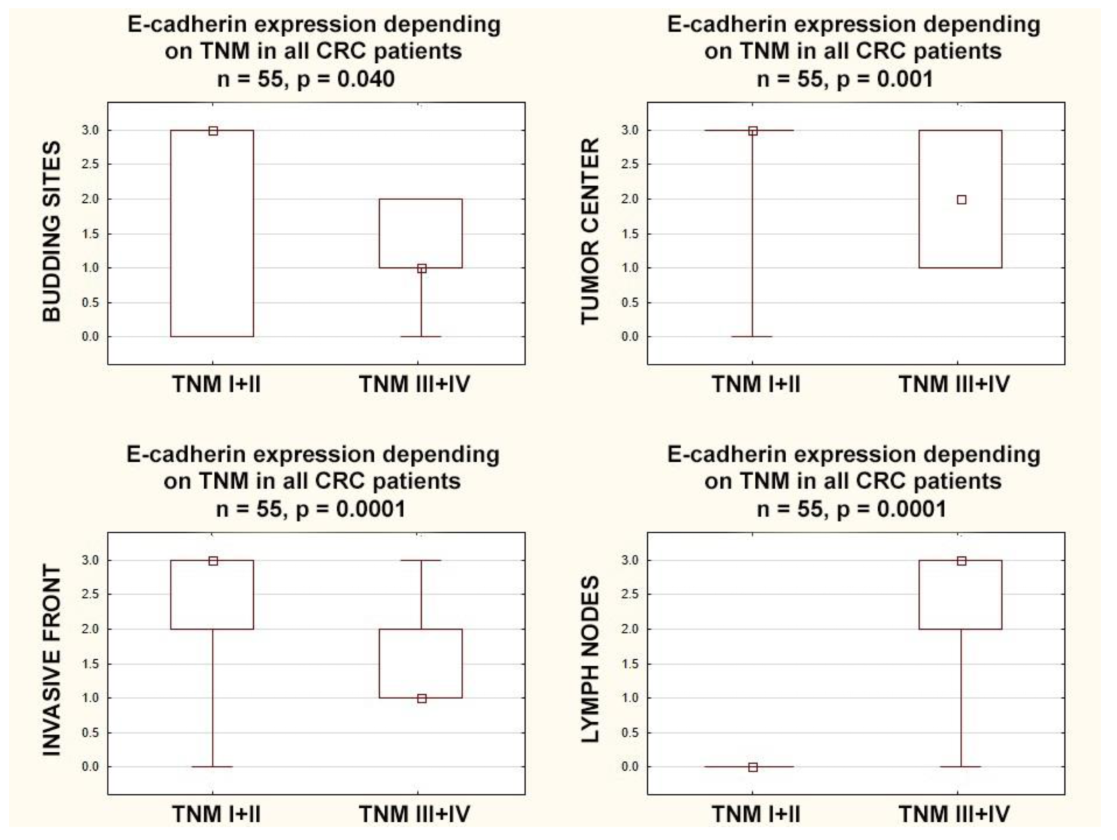Cancers 15 03260 g005 Cancers 15 03260 g005