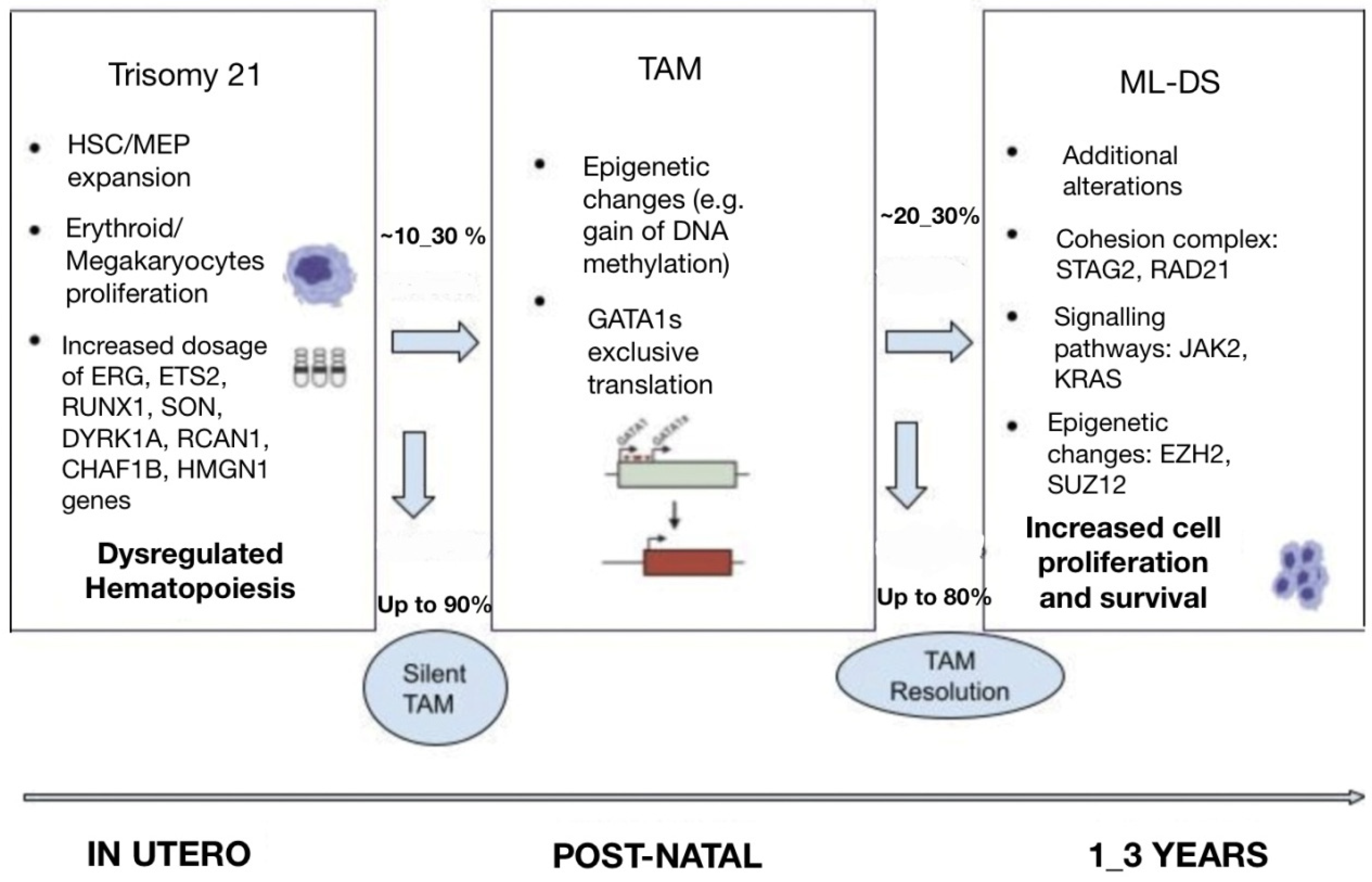 Cancers 15 03265 g001 Cancers 15 03265 g001