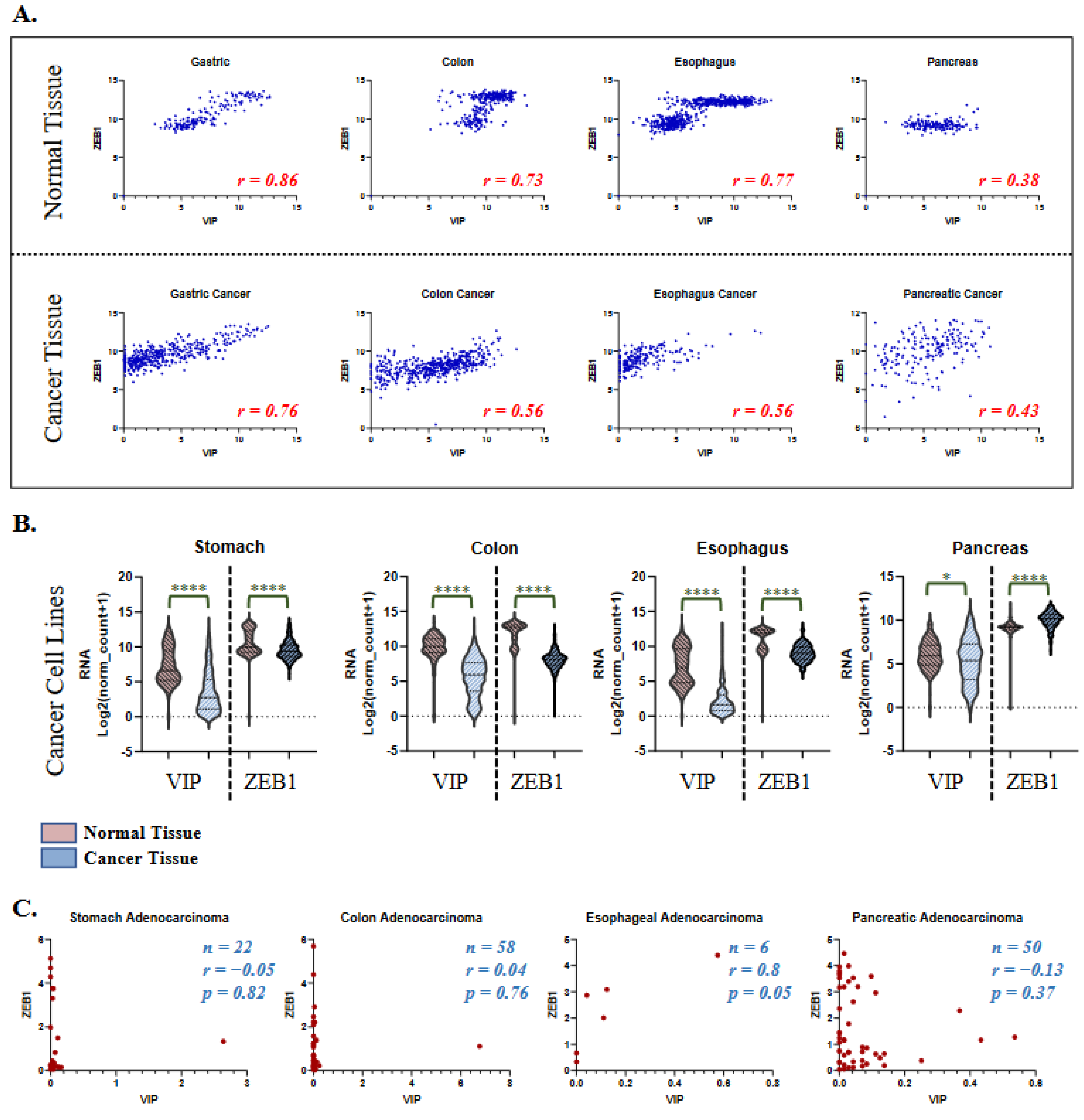 Cancers 15 03284 g004 Cancers 15 03284 g004