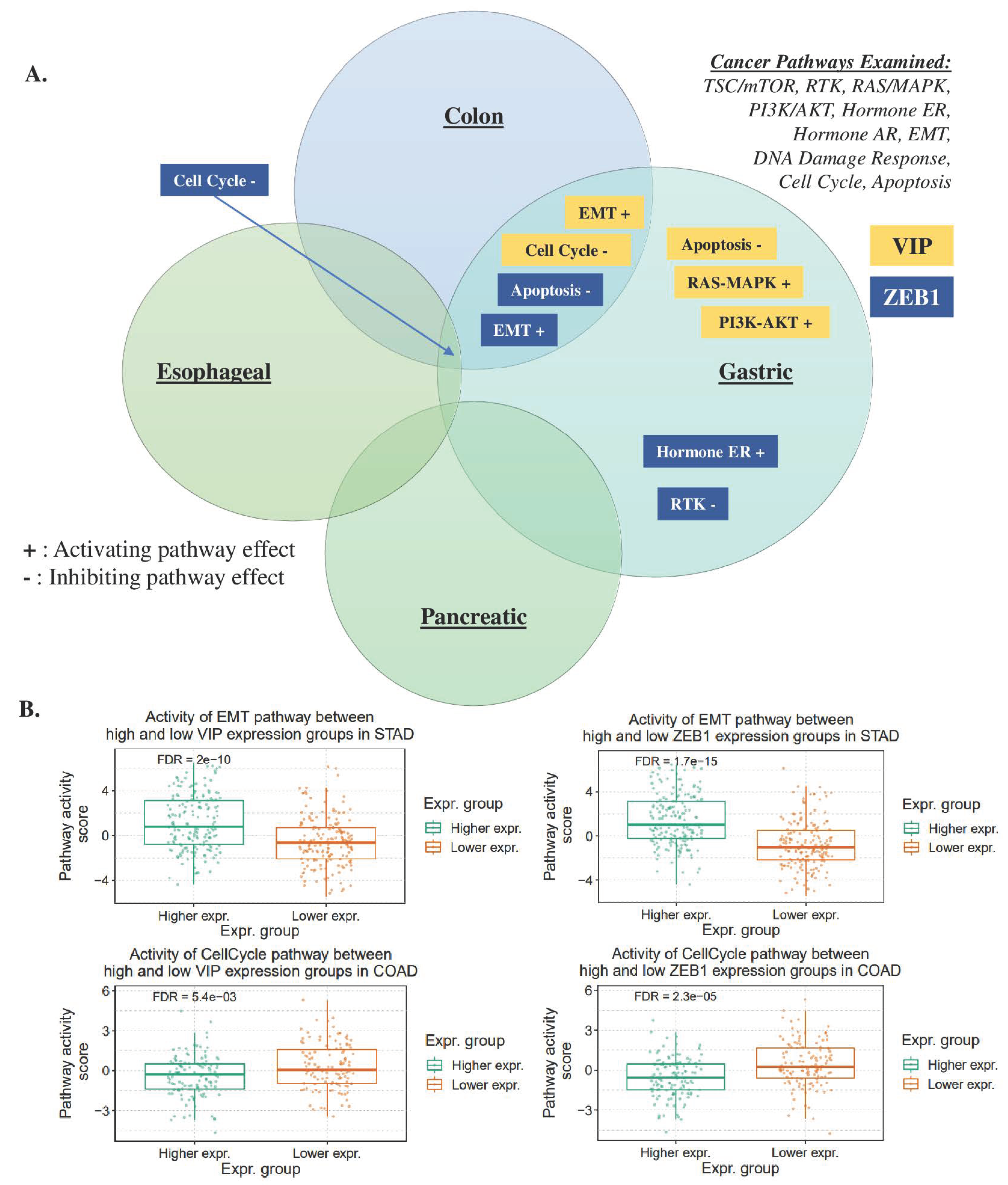 Cancers 15 03284 g005 Cancers 15 03284 g005