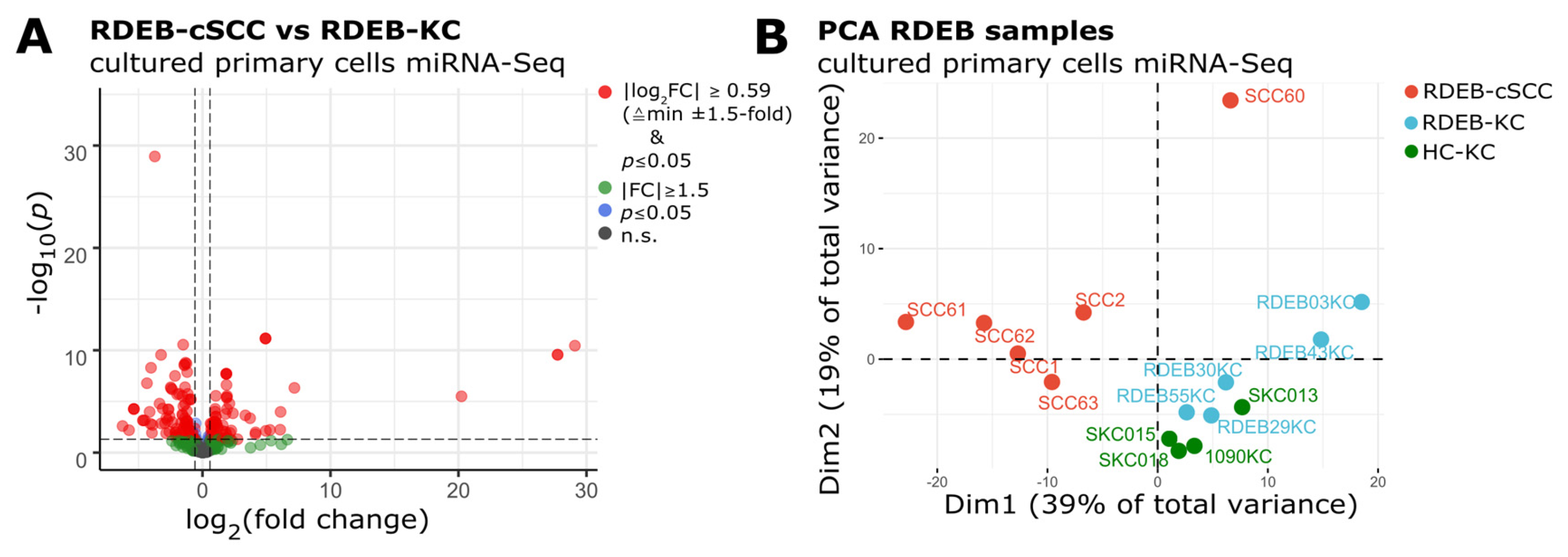 Cancers 15 03286 g001 Cancers 15 03286 g001