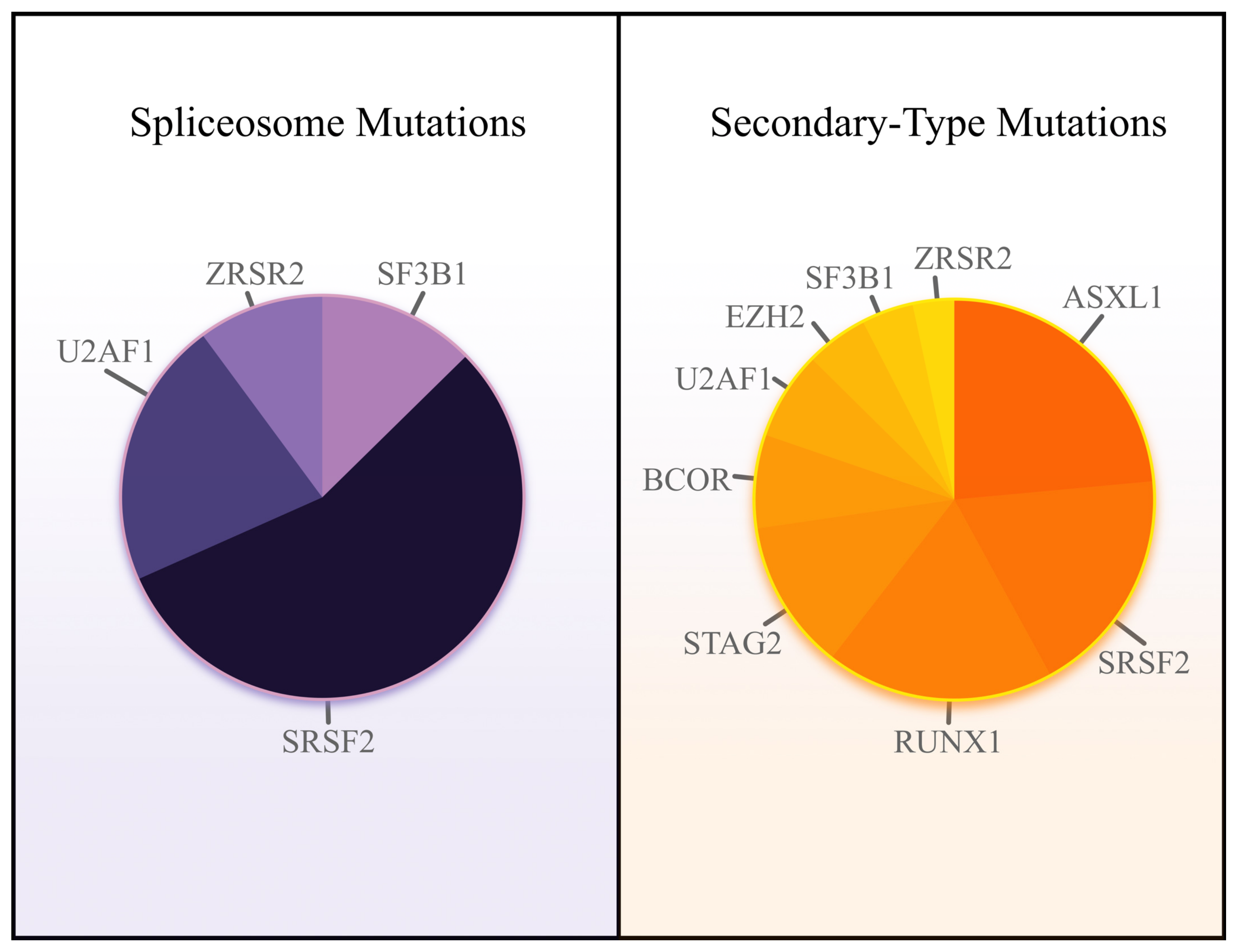 Secondary-Type Mutations in Acute Myeloid Leukemia: Updates